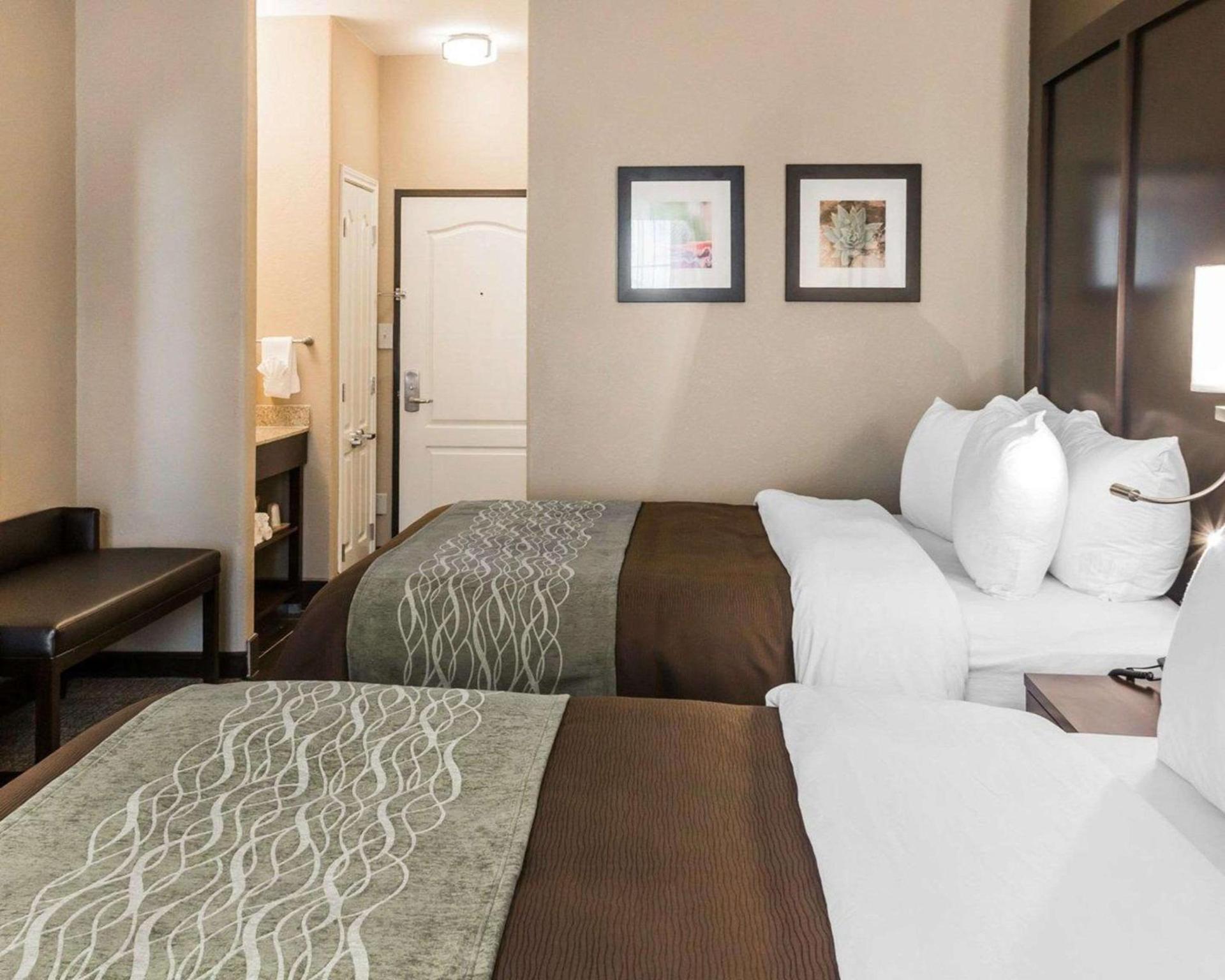 Comfort Inn & Suites Pharr - McAllen photo 22