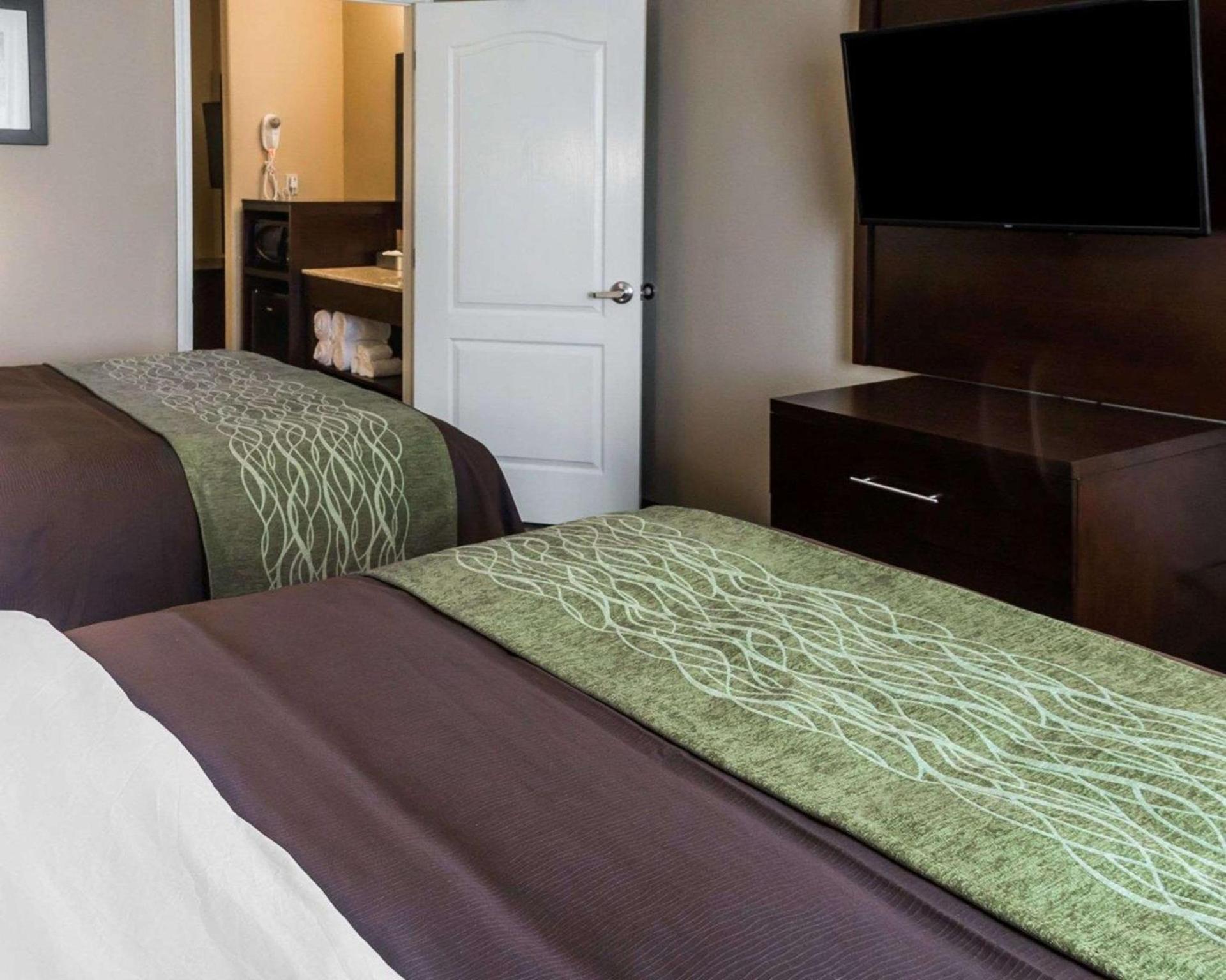 Comfort Inn & Suites Pharr - McAllen photo 26