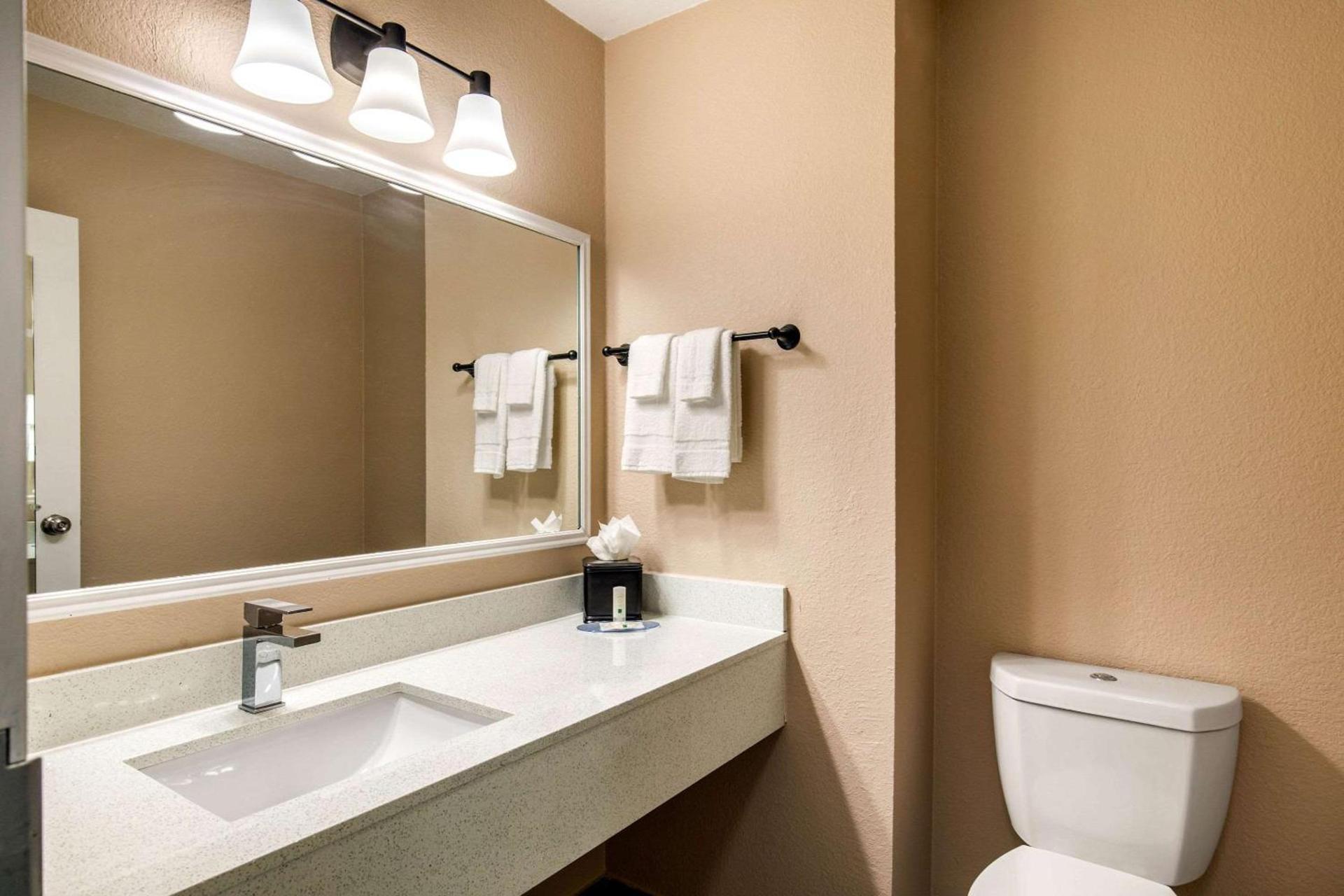 Quality Inn & Suites Plano East - Richardson photo 8