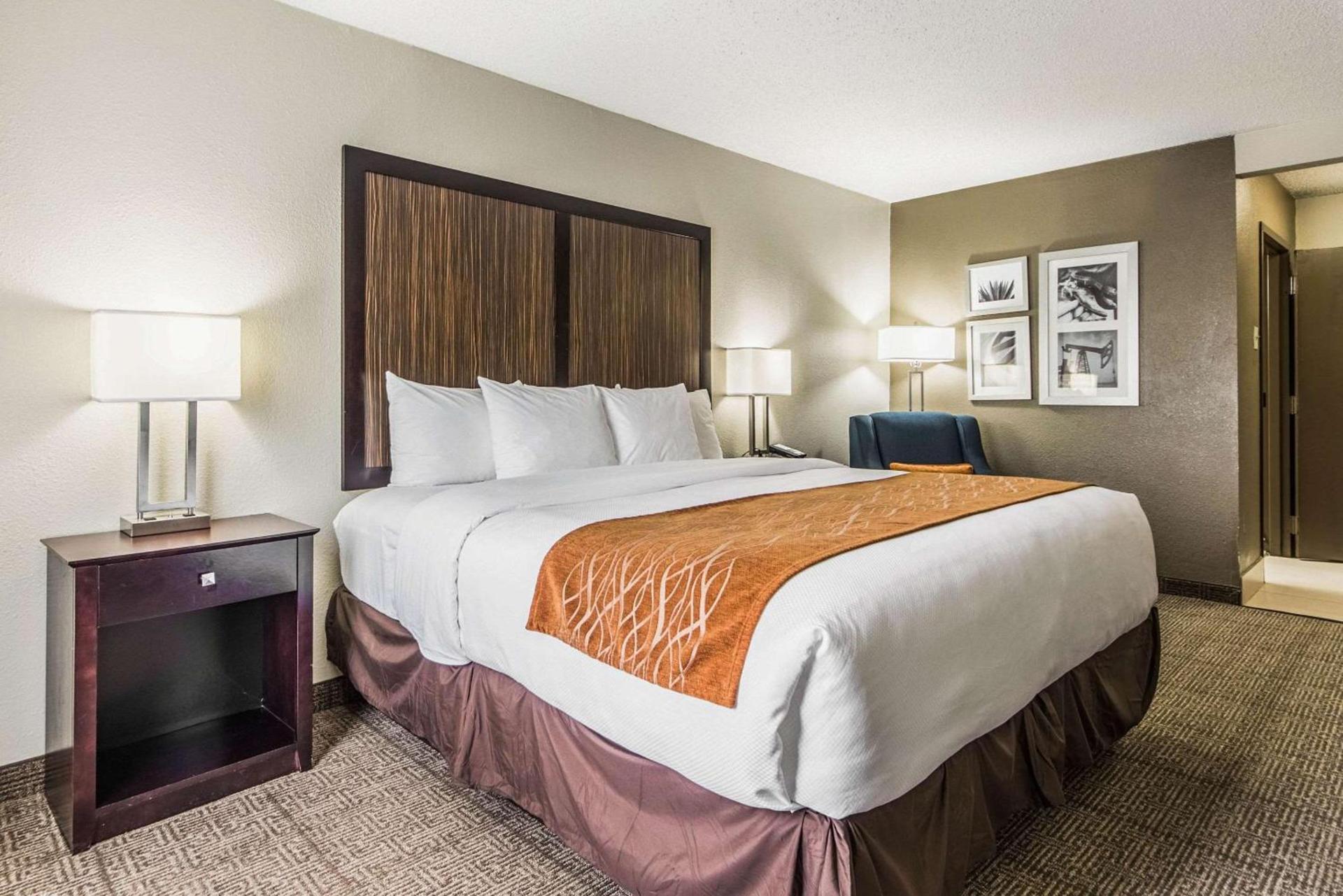 Comfort Inn Dallas Park Central photo 6