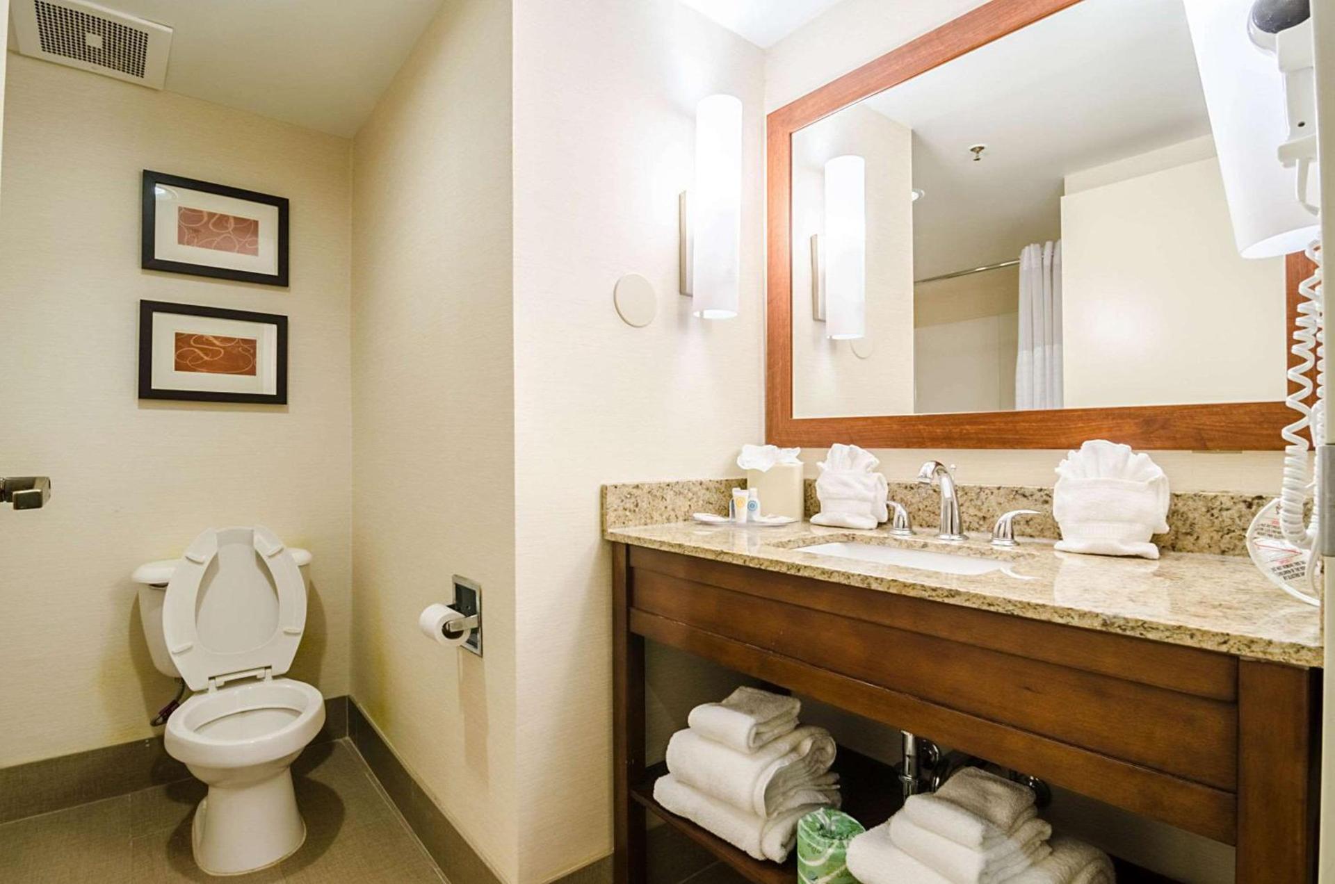 Comfort Suites Innsbrook - Short Pump photo 7