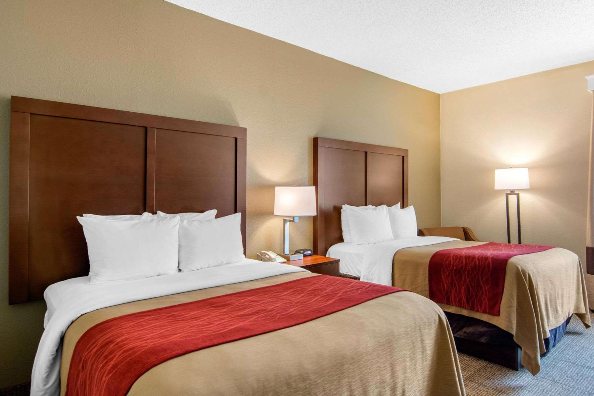 Comfort Inn Chester - Richmond South photo 10