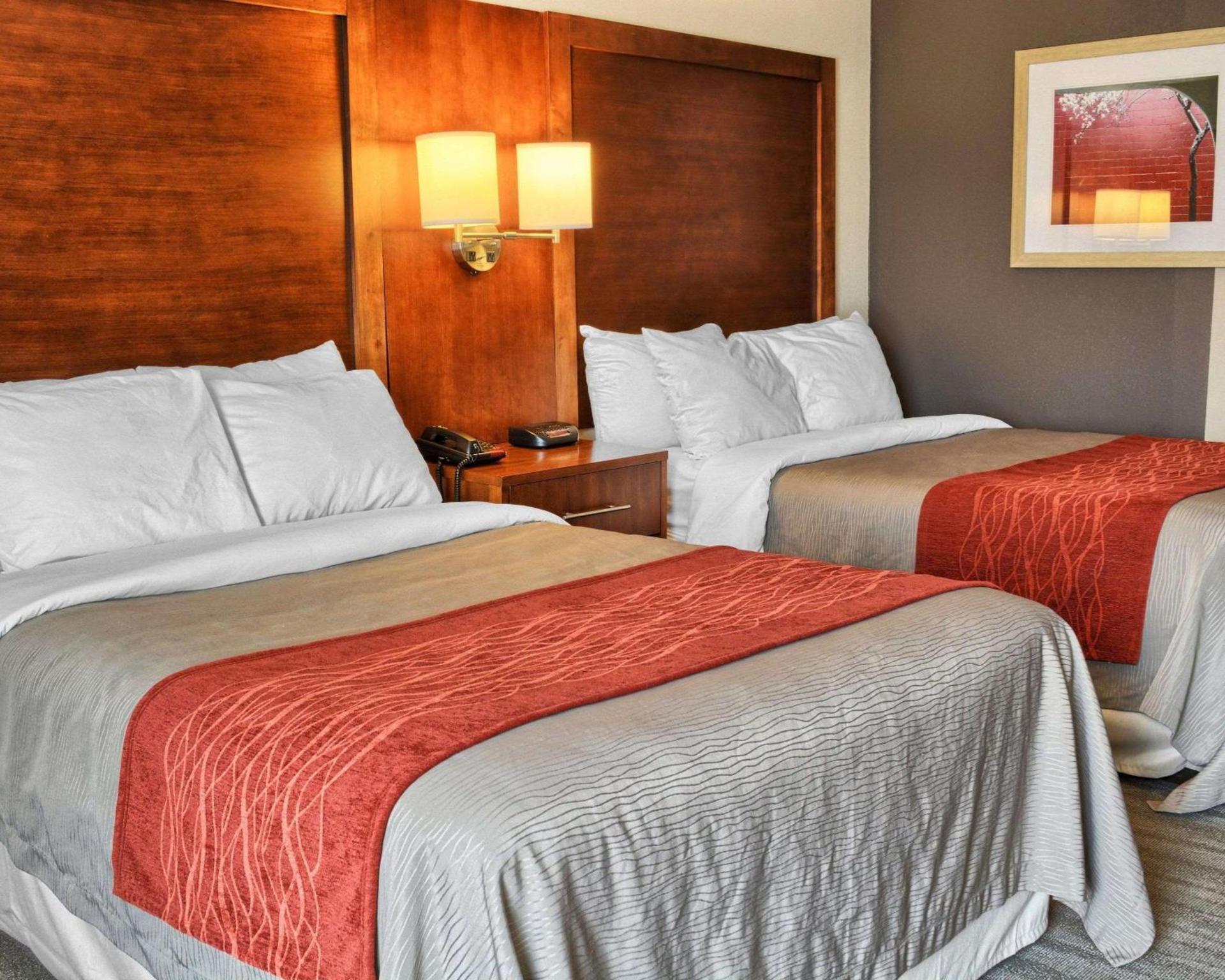 Comfort Inn Ruther Glen near Kings Dominion photo 11