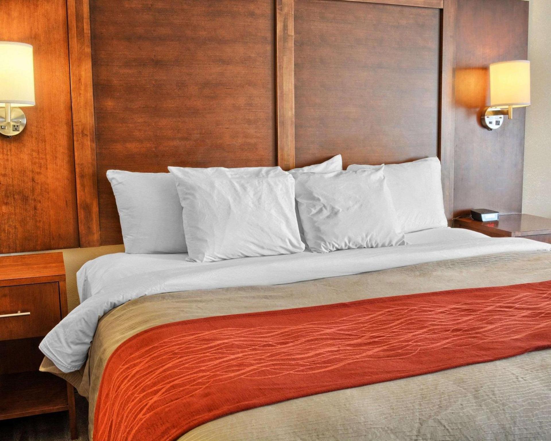 Comfort Inn Ruther Glen near Kings Dominion photo 7