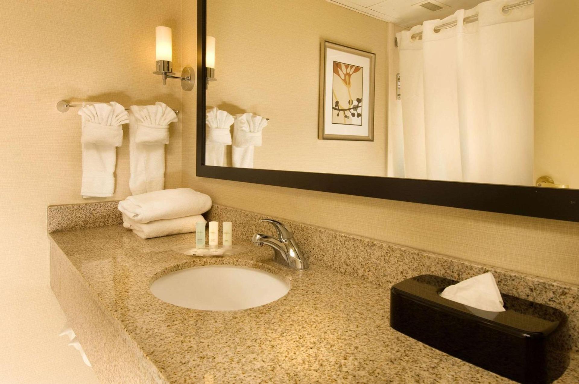 Comfort Suites Dulles Airport photo 14