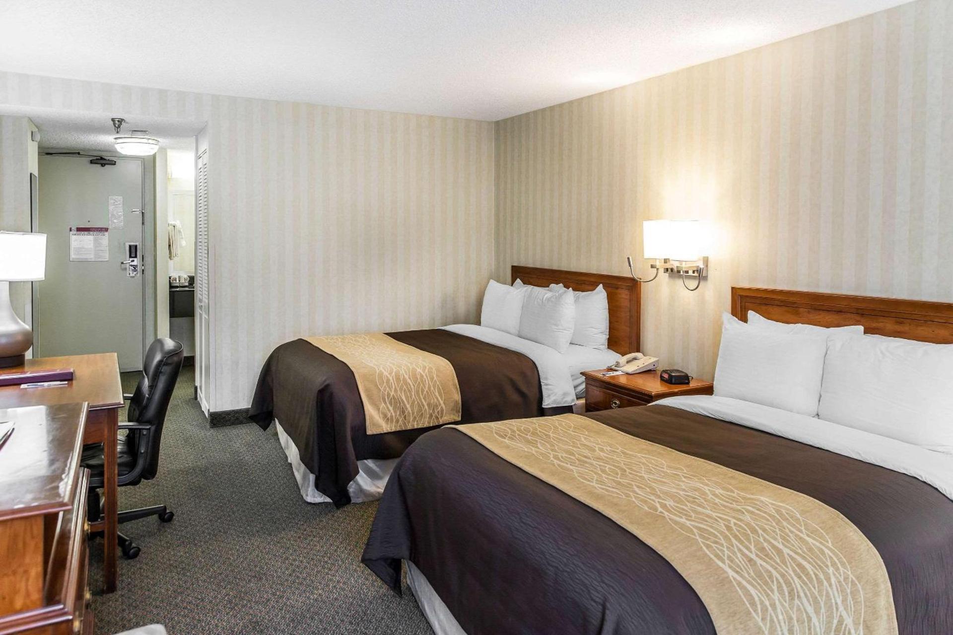 Comfort Inn Pentagon City photo 7