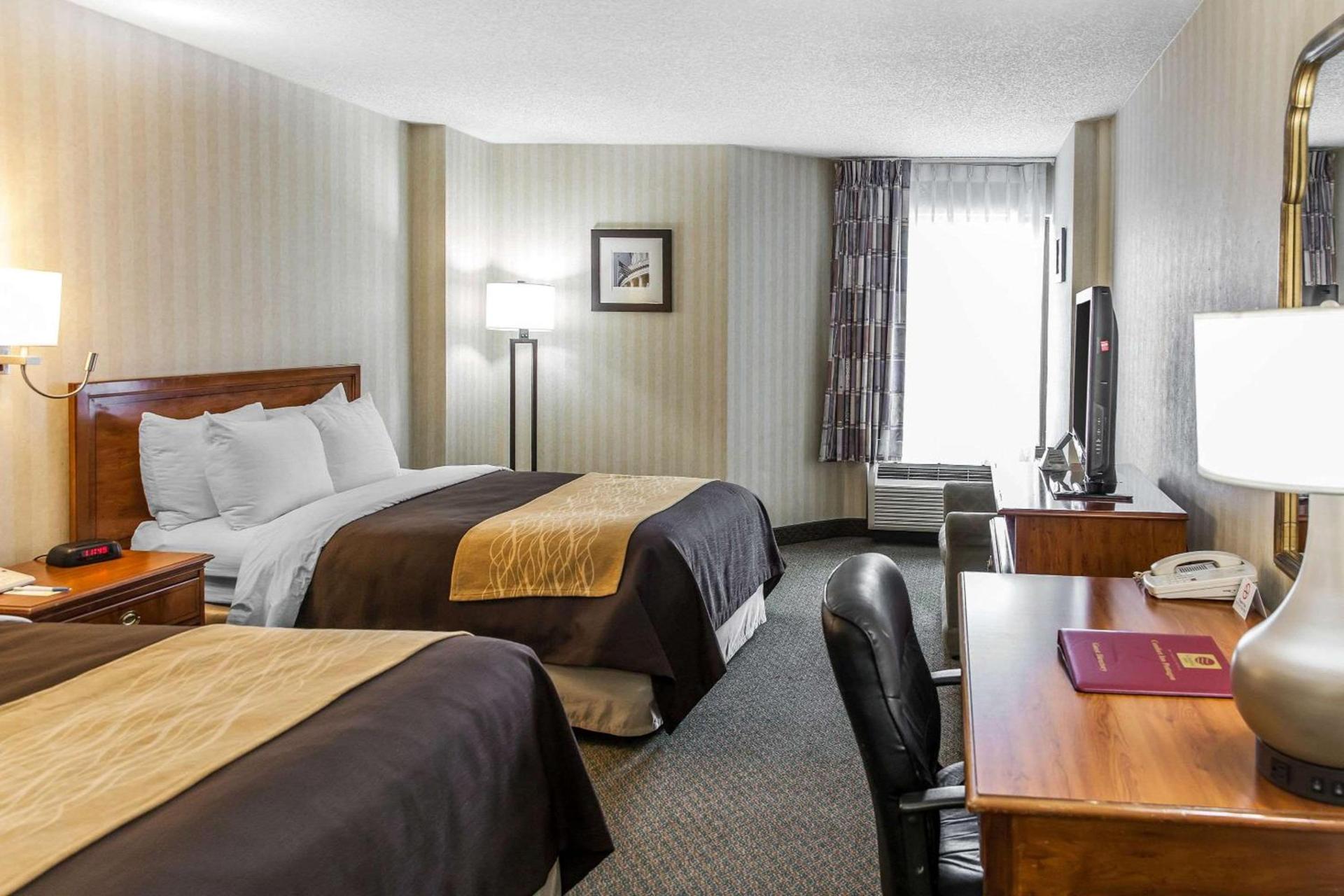 Comfort Inn Pentagon City photo 17