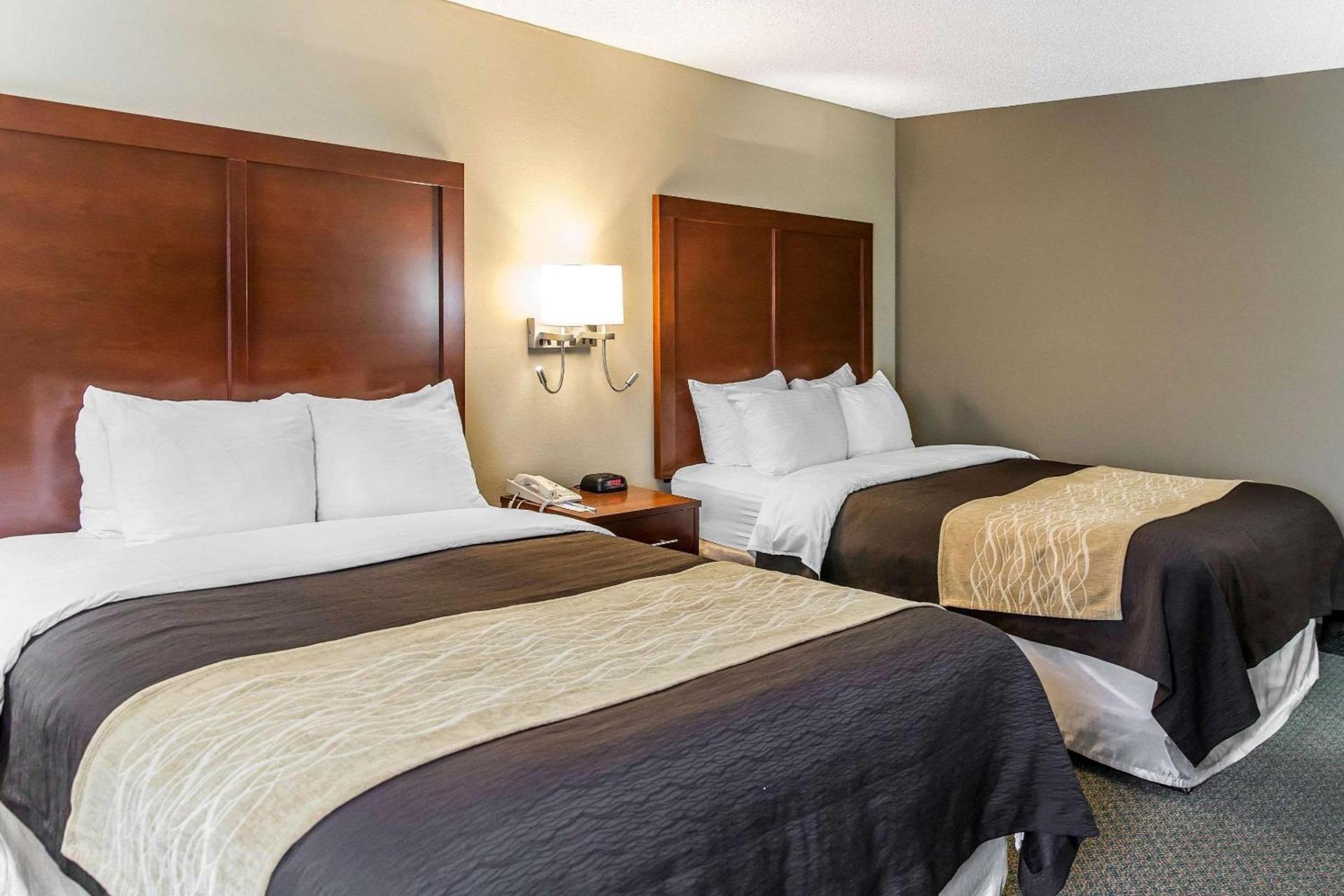 Comfort Inn Pentagon City photo 15