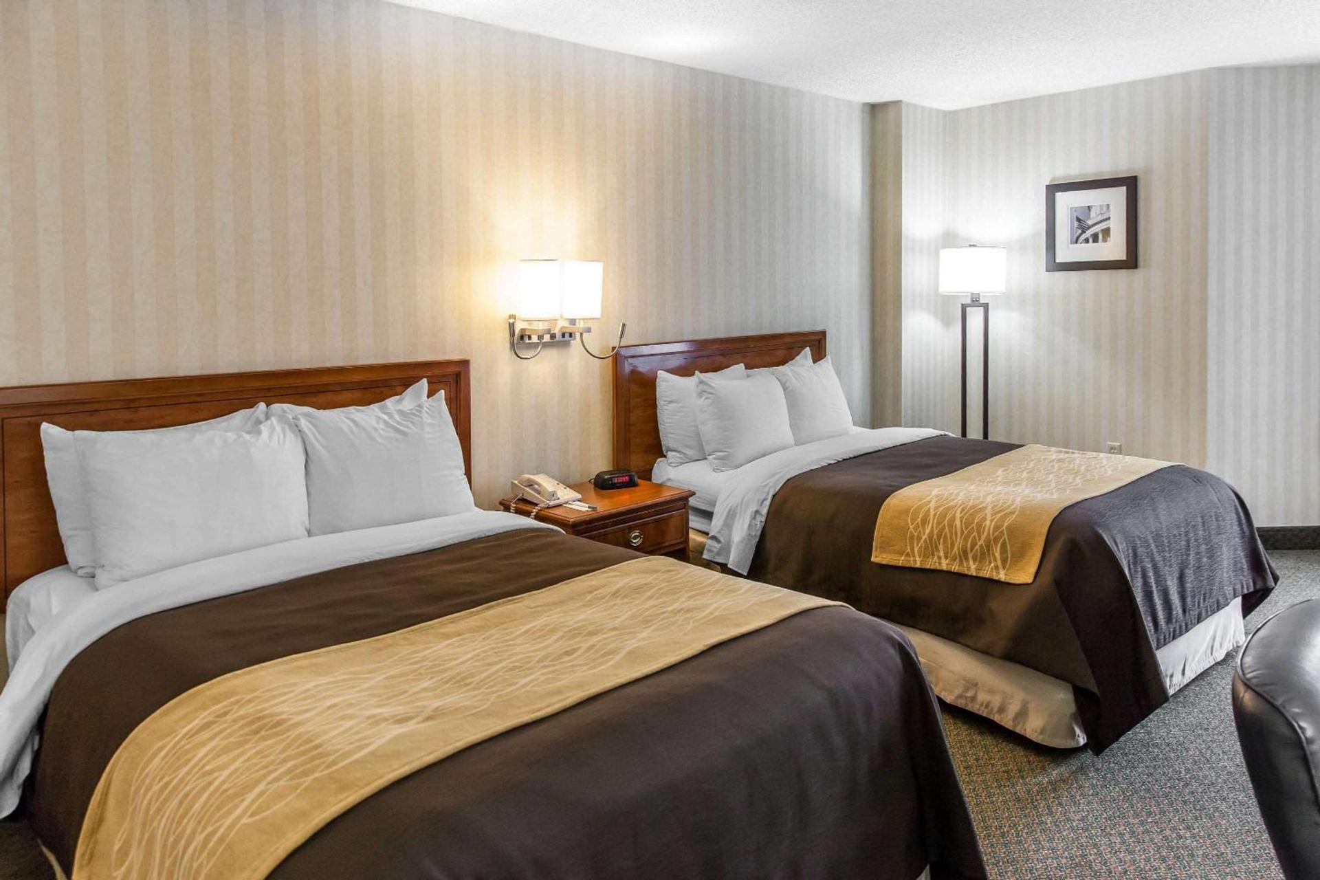 Comfort Inn Pentagon City photo 11