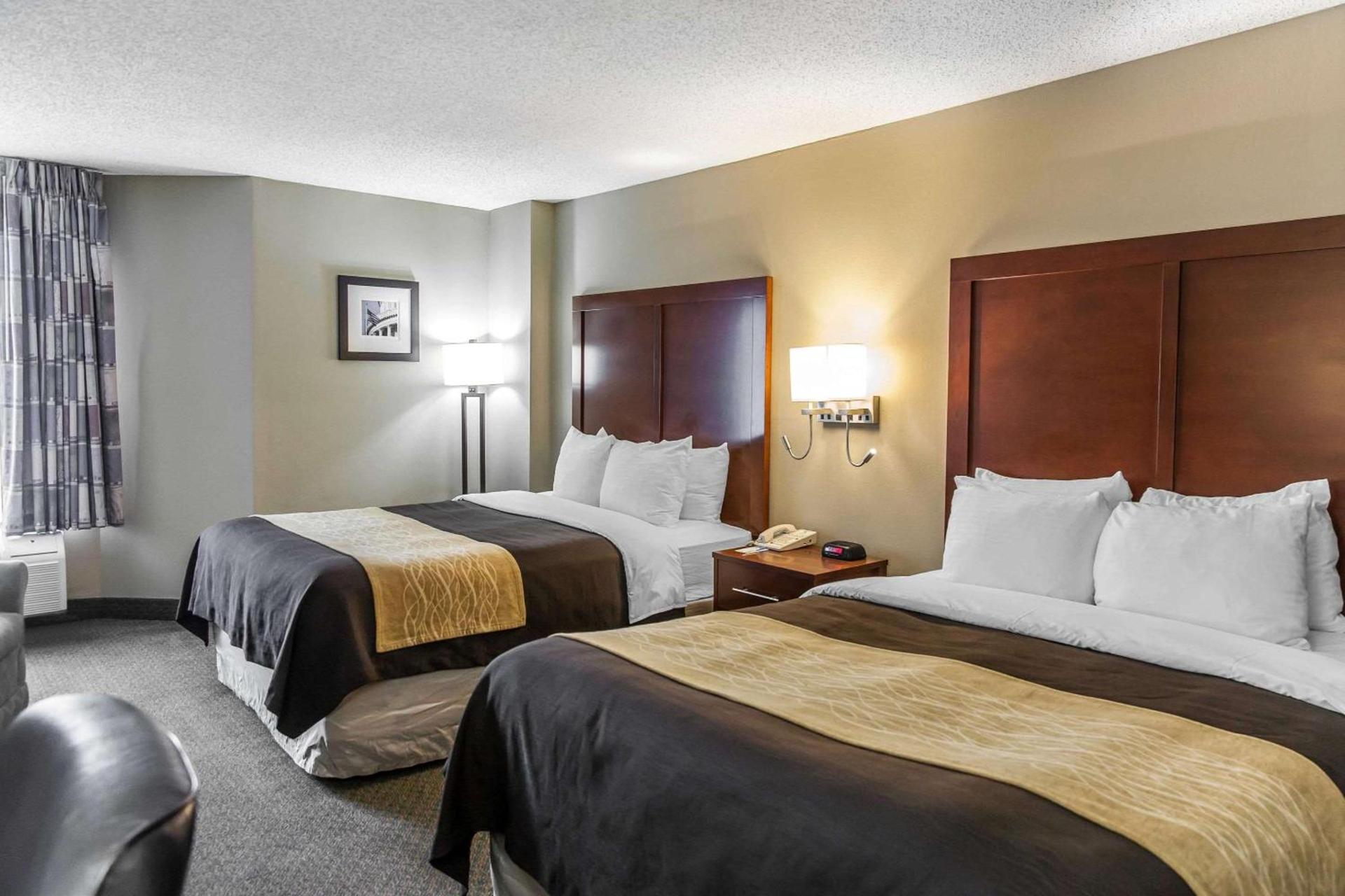Comfort Inn Pentagon City photo 14