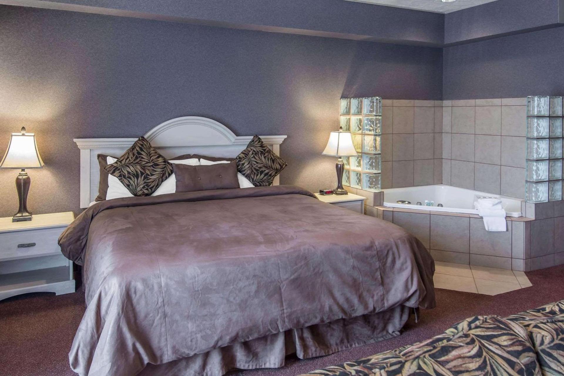 Holiday Inn Clarkston - Lewiston by IHG photo 60