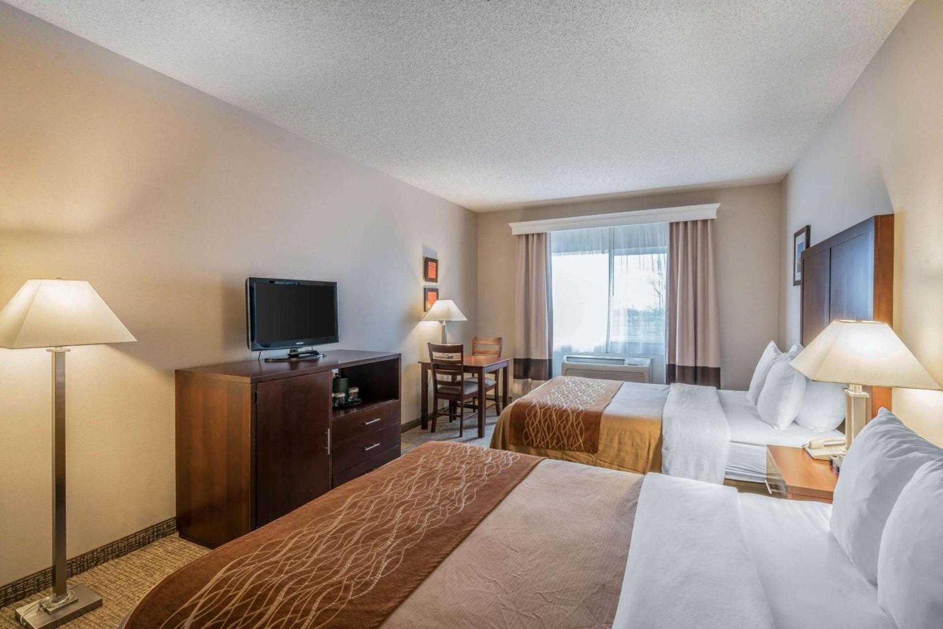 Comfort Inn & Suites Seattle North photo 8