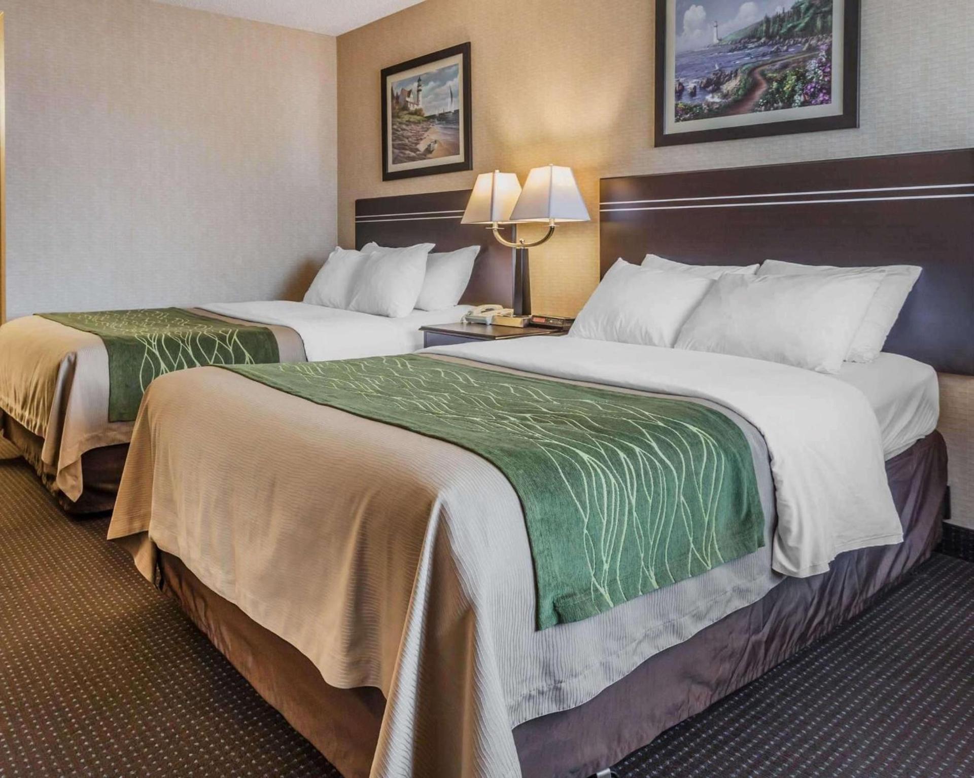 Comfort Inn On the Bay photo 8