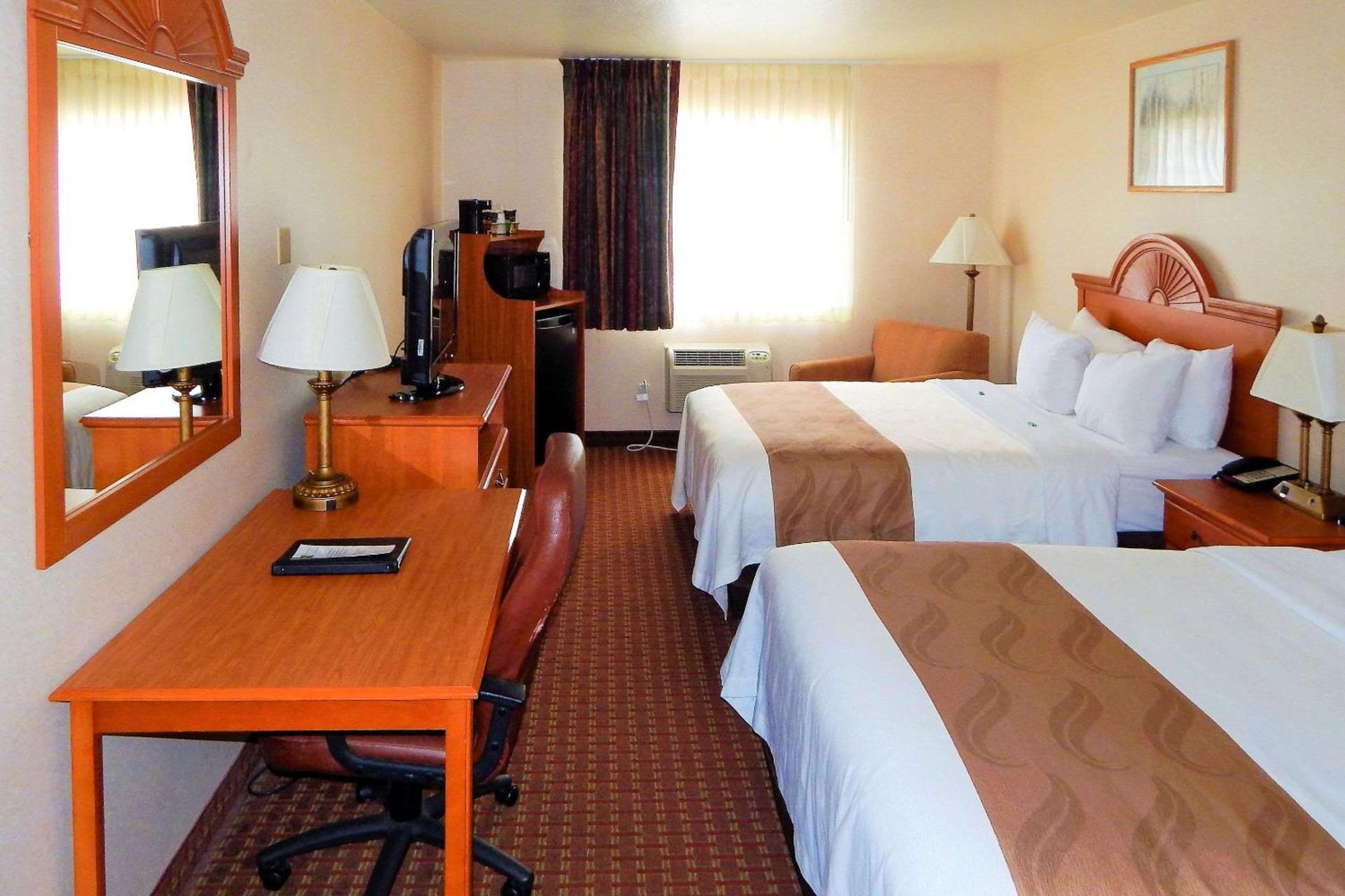 Spark by Hilton Sheridan photo 4