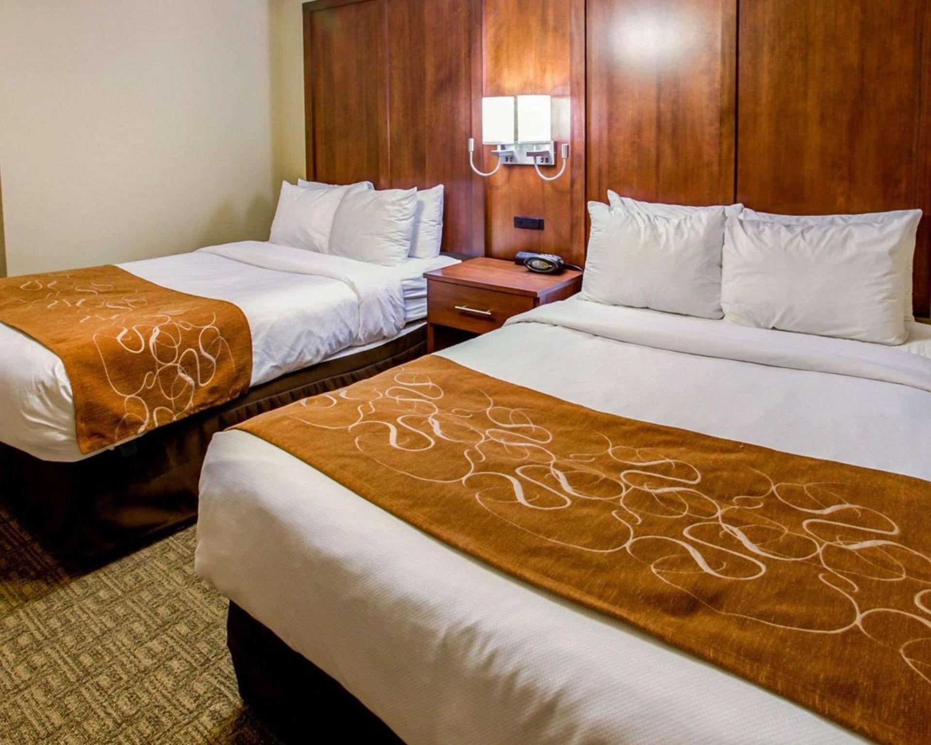 Comfort Suites Georgetown photo 29