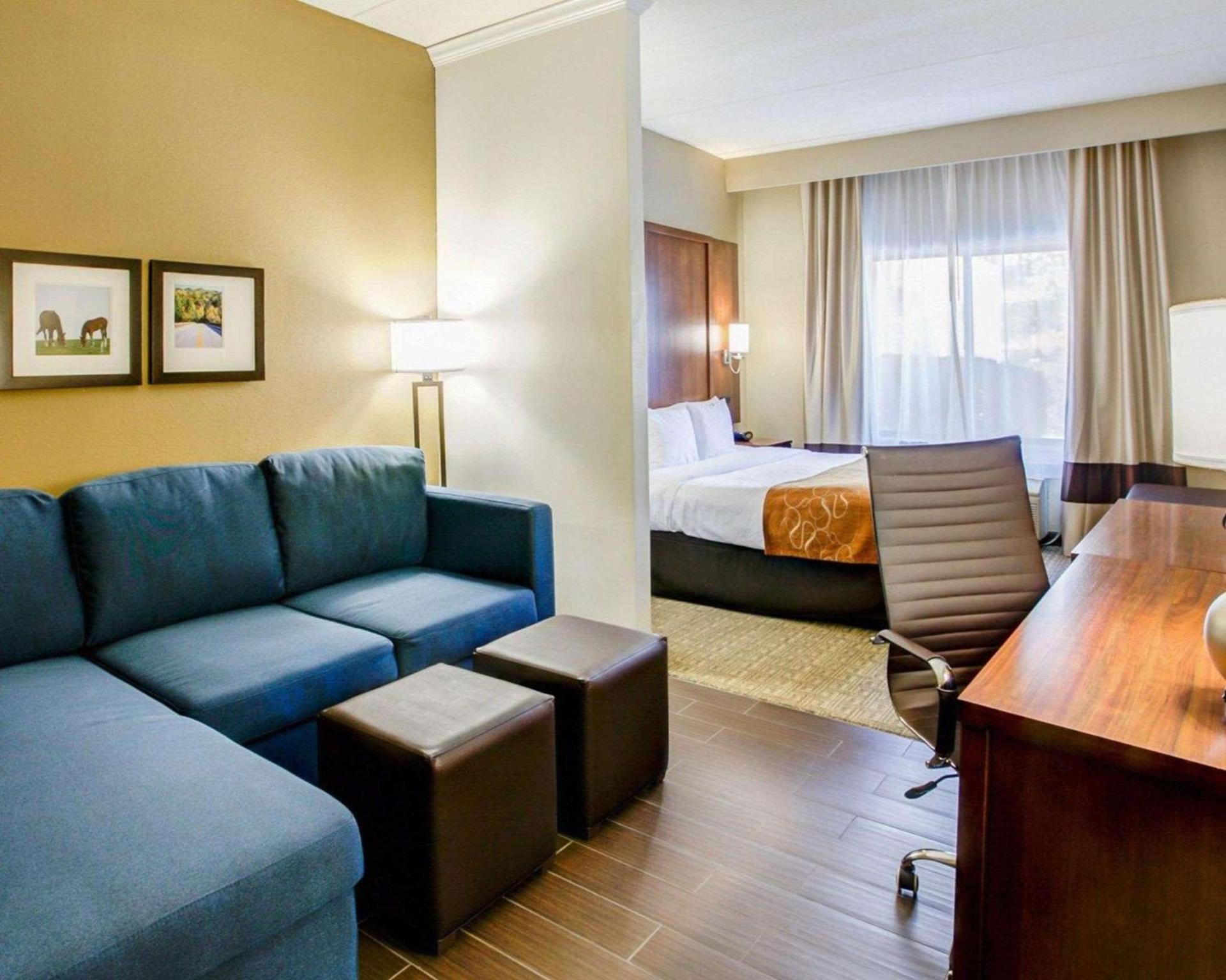 Comfort Suites Georgetown photo 12
