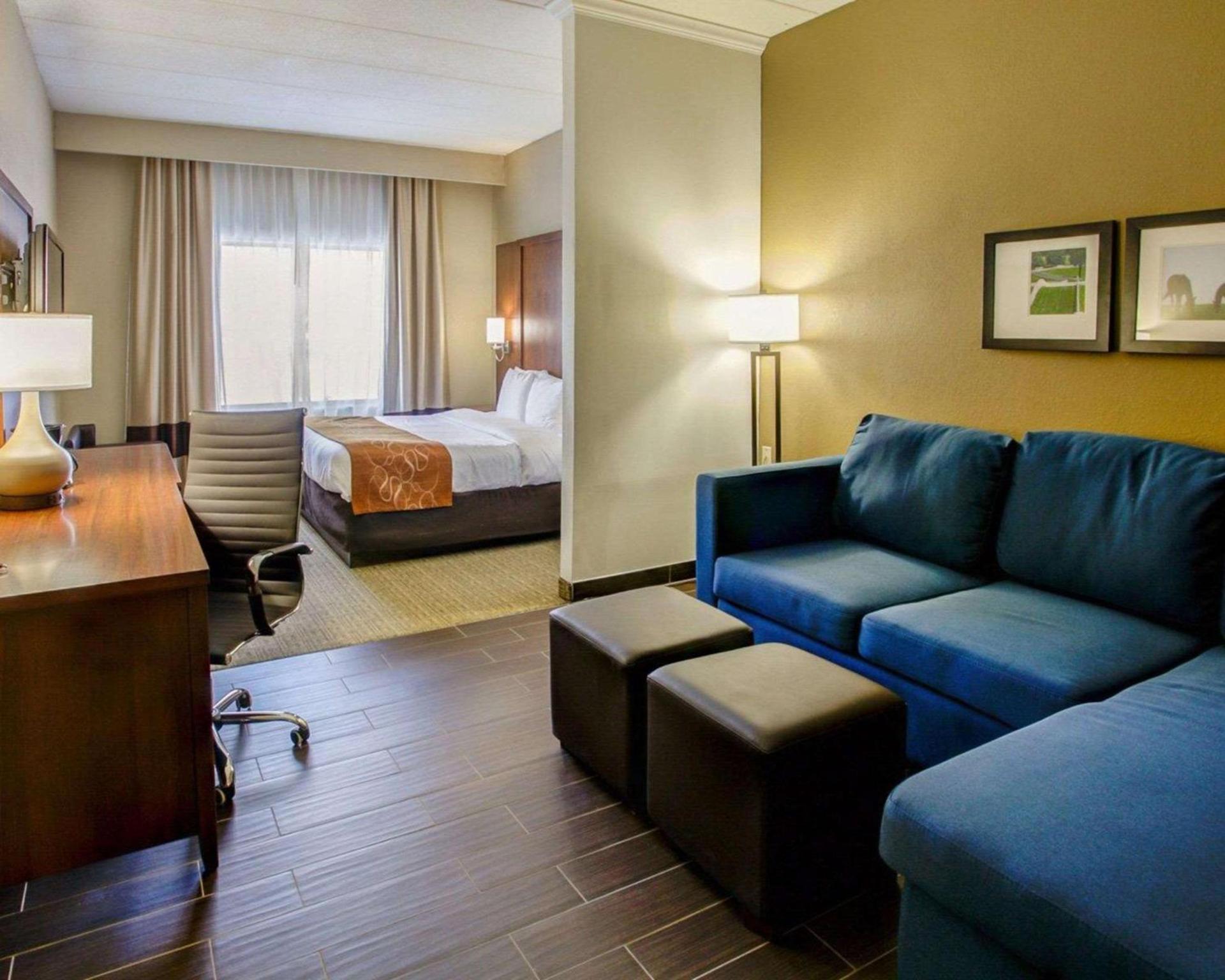 Comfort Suites Georgetown photo 17