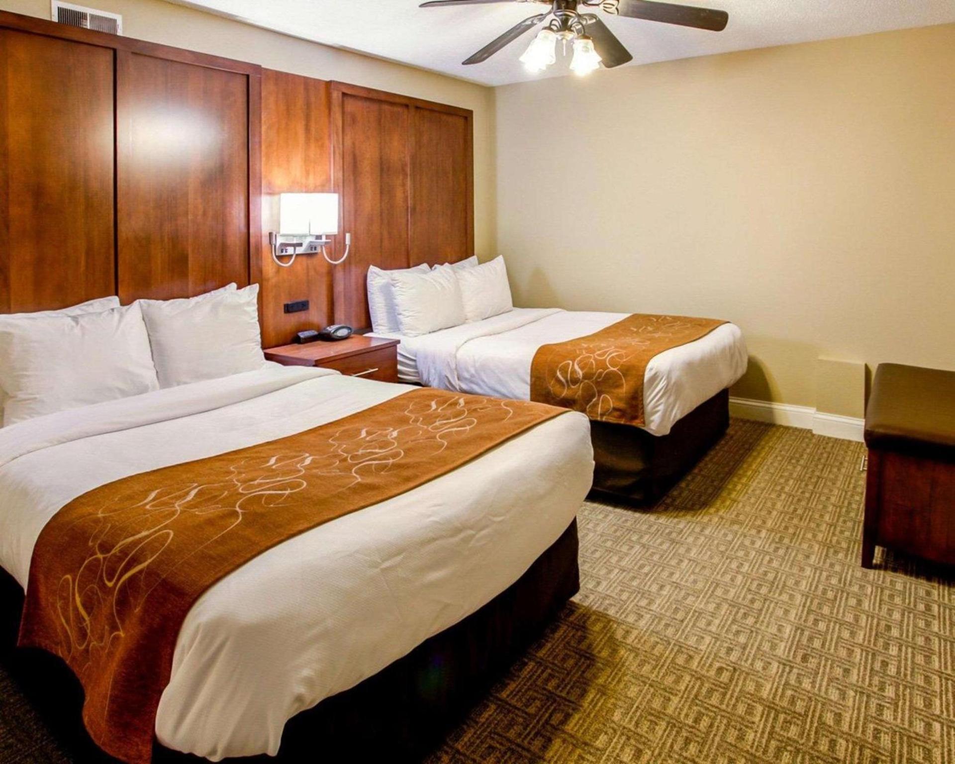 Comfort Suites Georgetown photo 40
