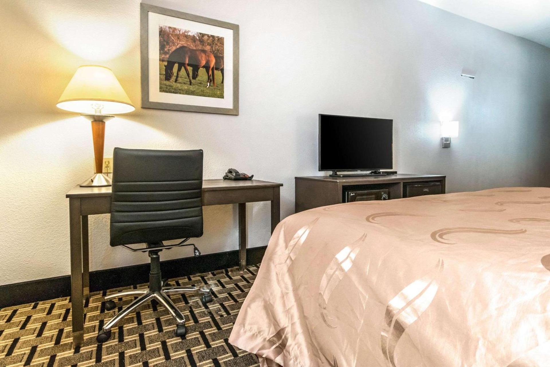 Spark by Hilton Lexington Hamburg photo 16