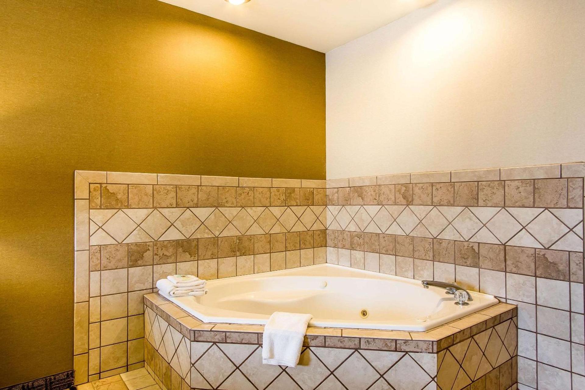 Comfort Suites Richmond photo 22