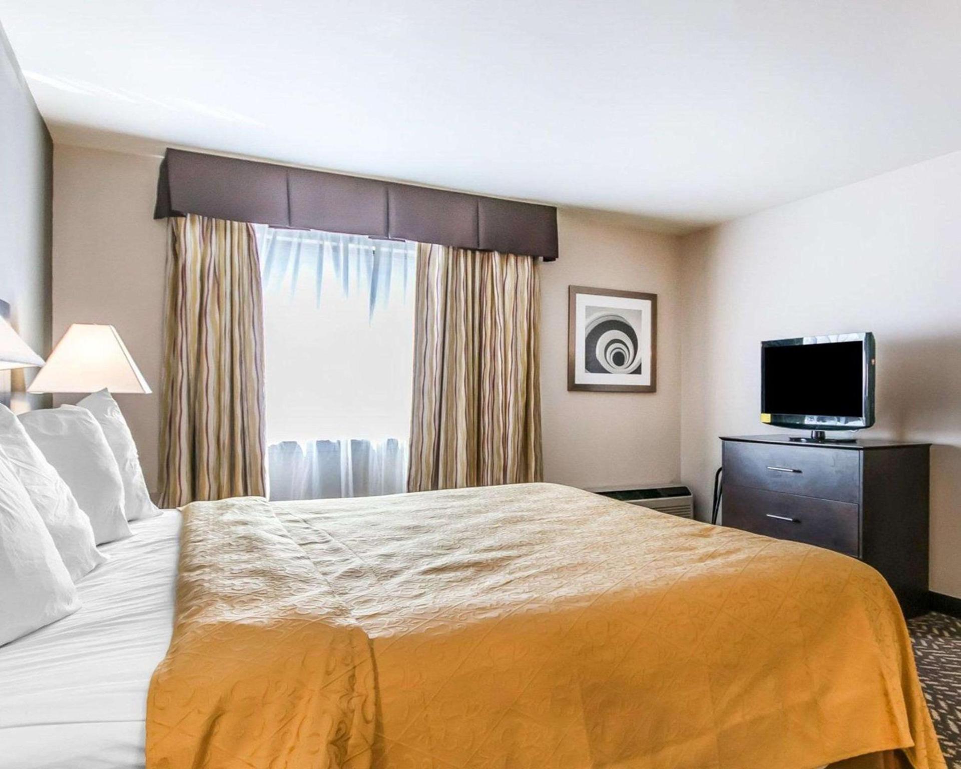 Quality Inn & Suites University-Airport photo 12