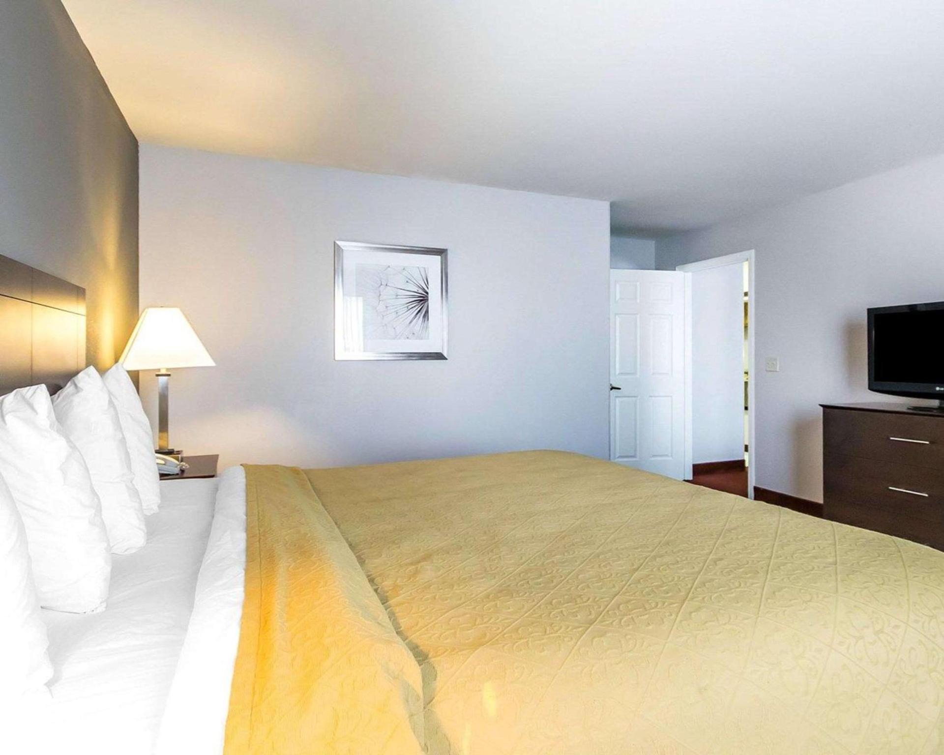 Quality Inn & Suites University-Airport photo 9