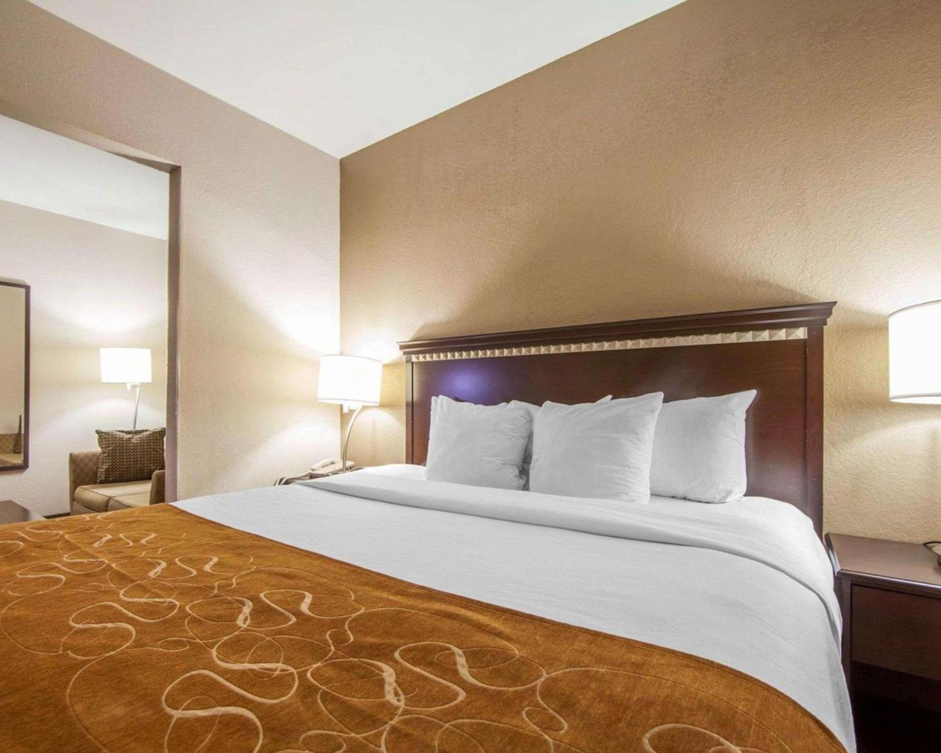 Comfort Suites London South photo 10
