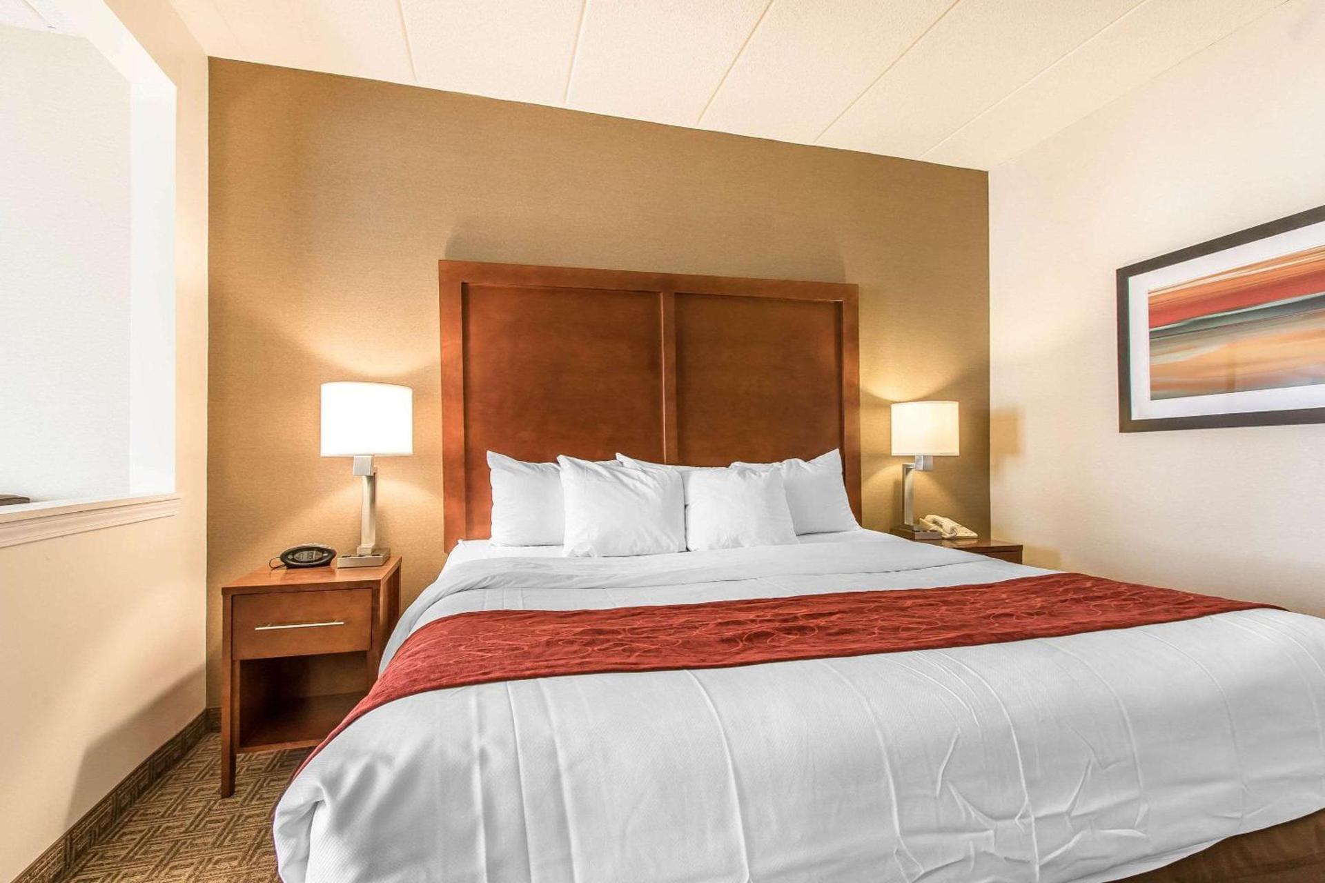 Comfort Suites Richmond photo 11