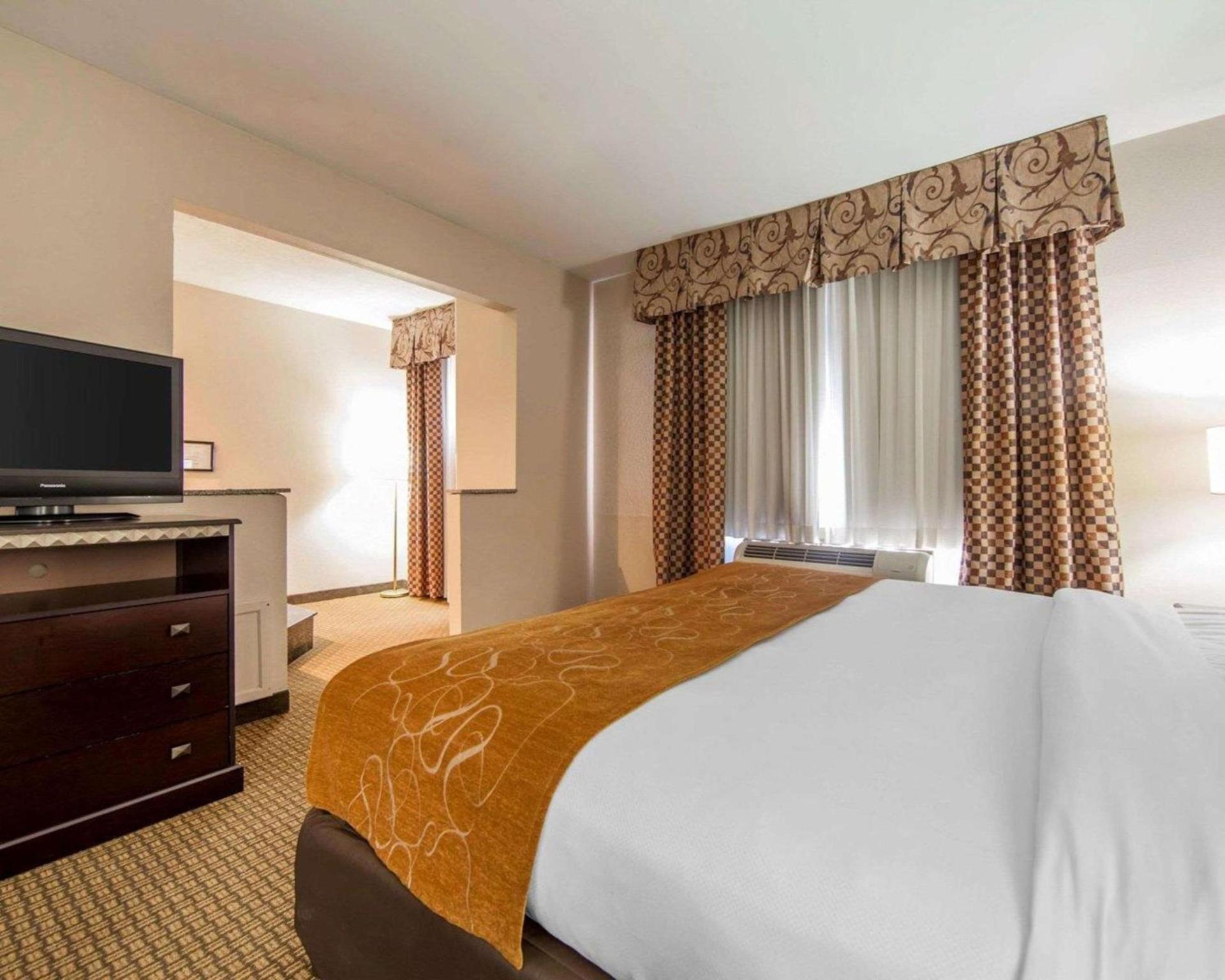Comfort Suites London South photo 17