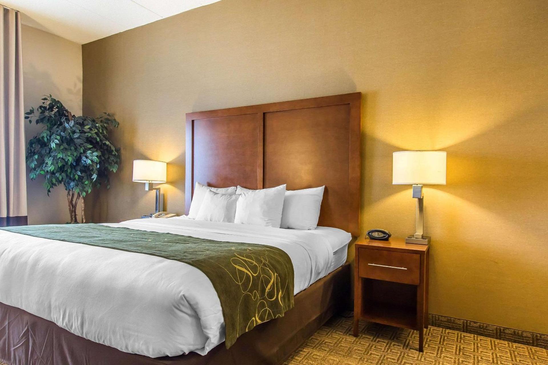 Comfort Suites Richmond photo 21