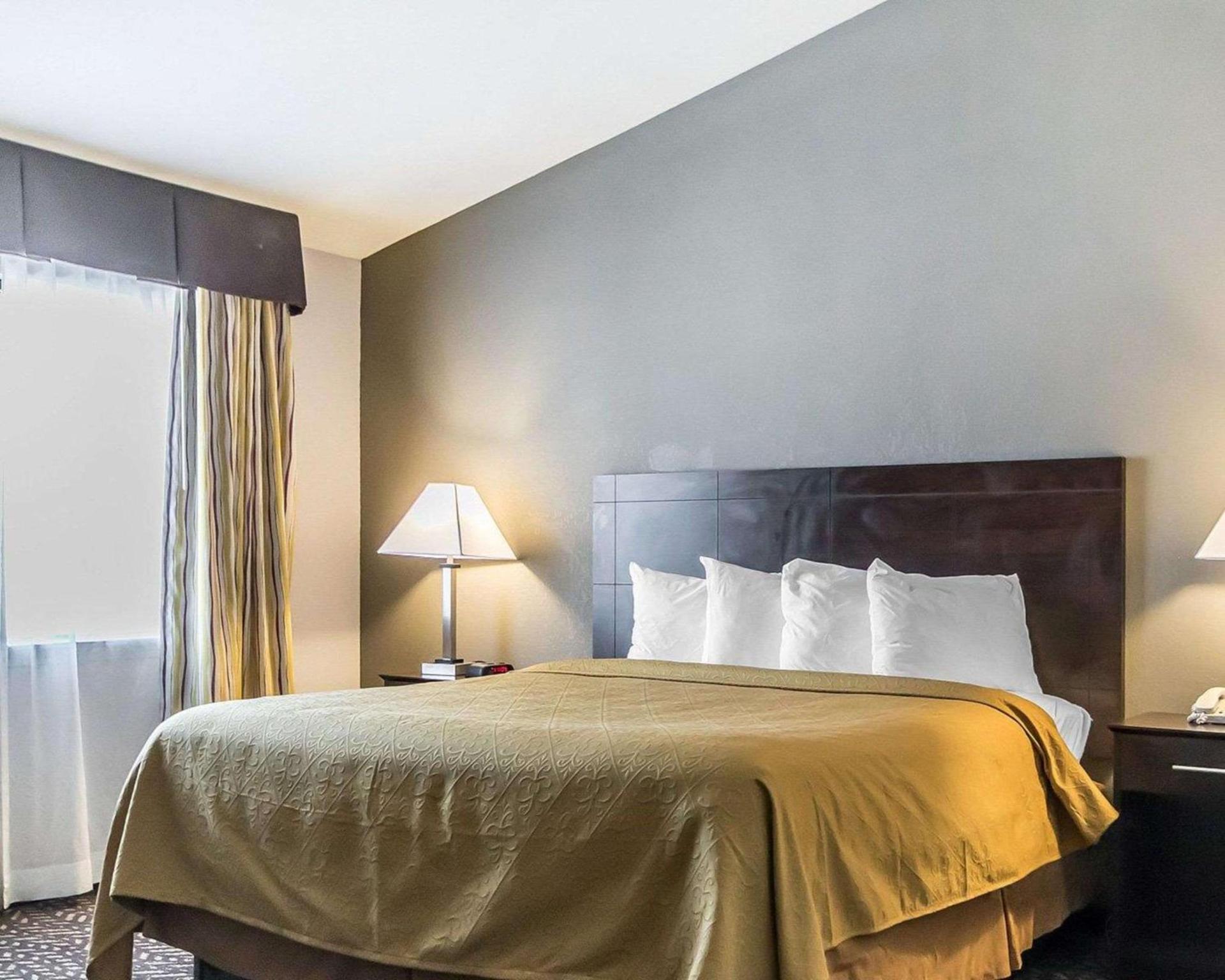 Quality Inn & Suites University-Airport photo 10