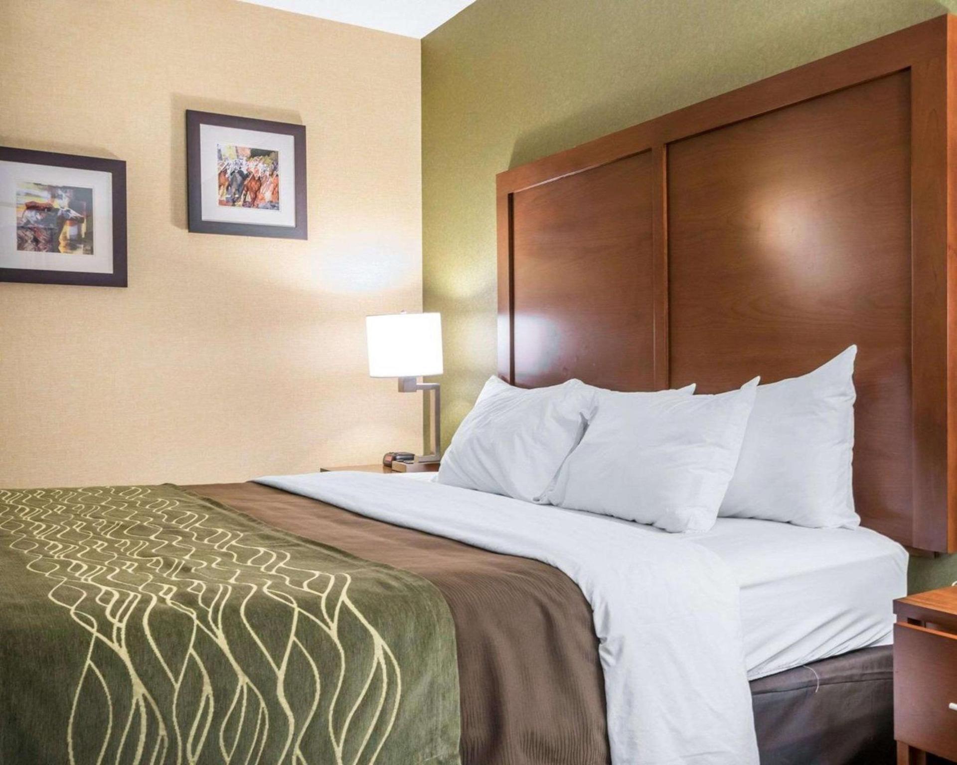 Comfort Inn Winchester photo 16