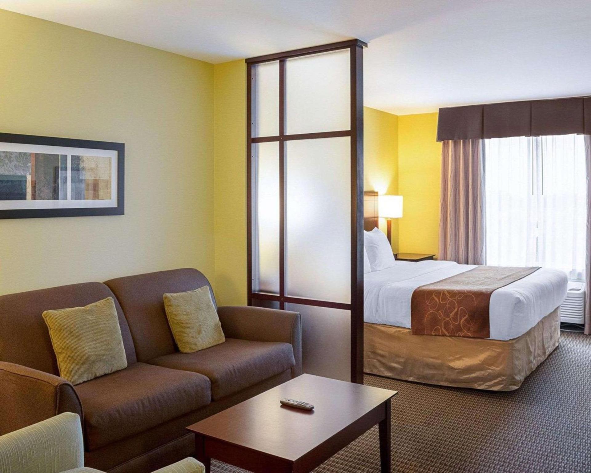 Comfort Suites Harvey - New Orleans West photo 16