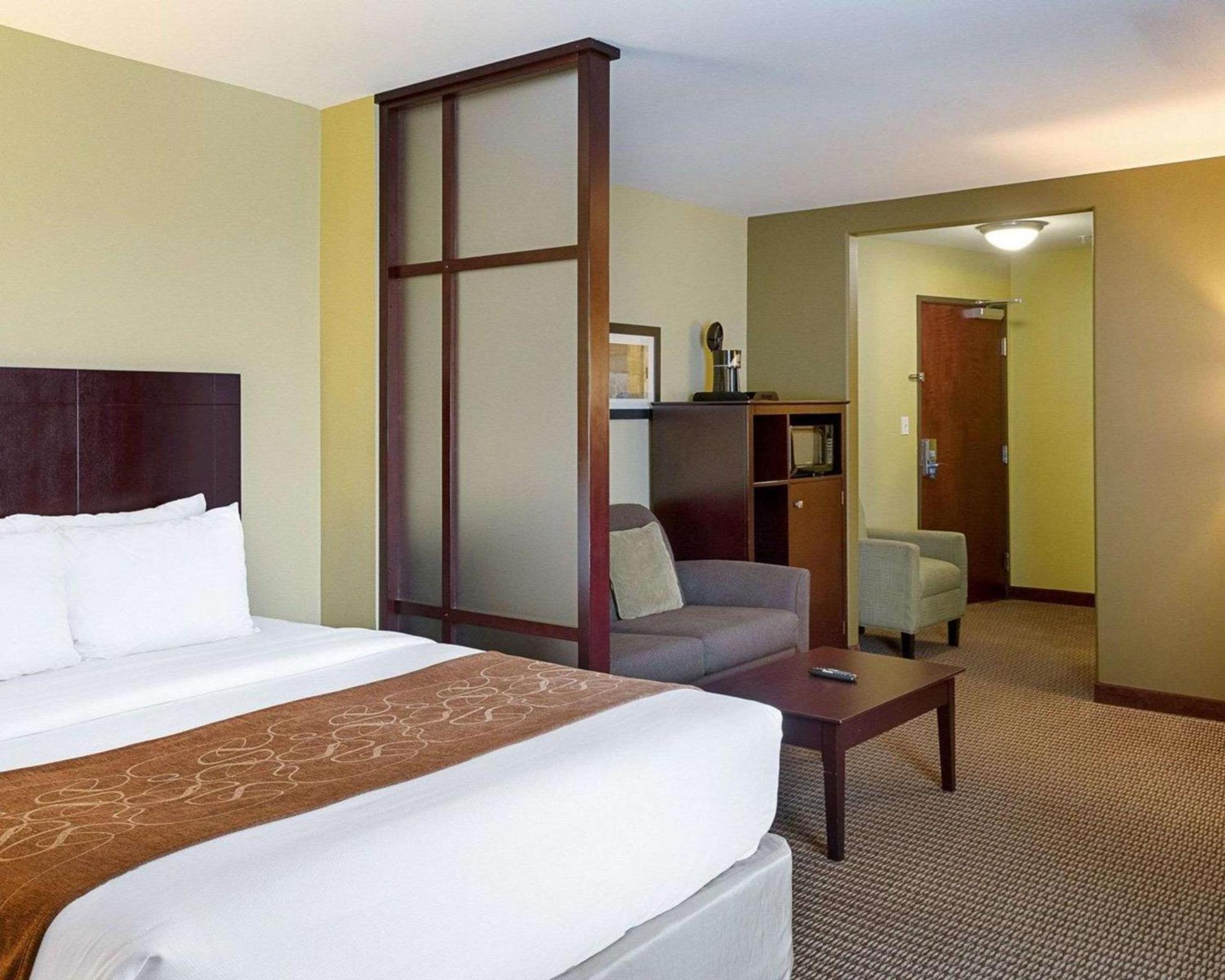 Comfort Suites Harvey - New Orleans West photo 10