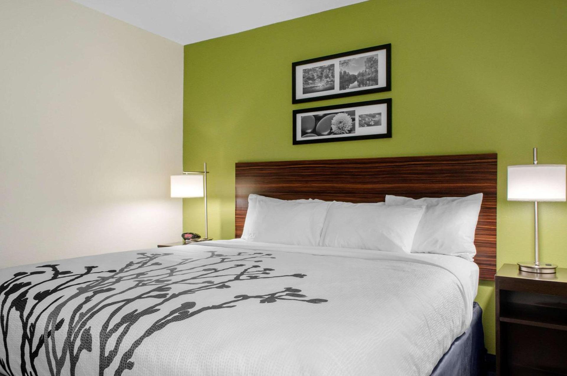 Sleep Inn Baton Rouge East I-12 photo 23