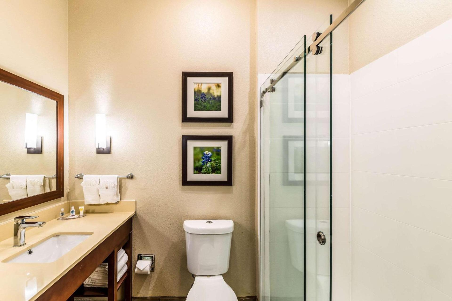 Comfort Suites Grand Prairie - Arlington North photo 29