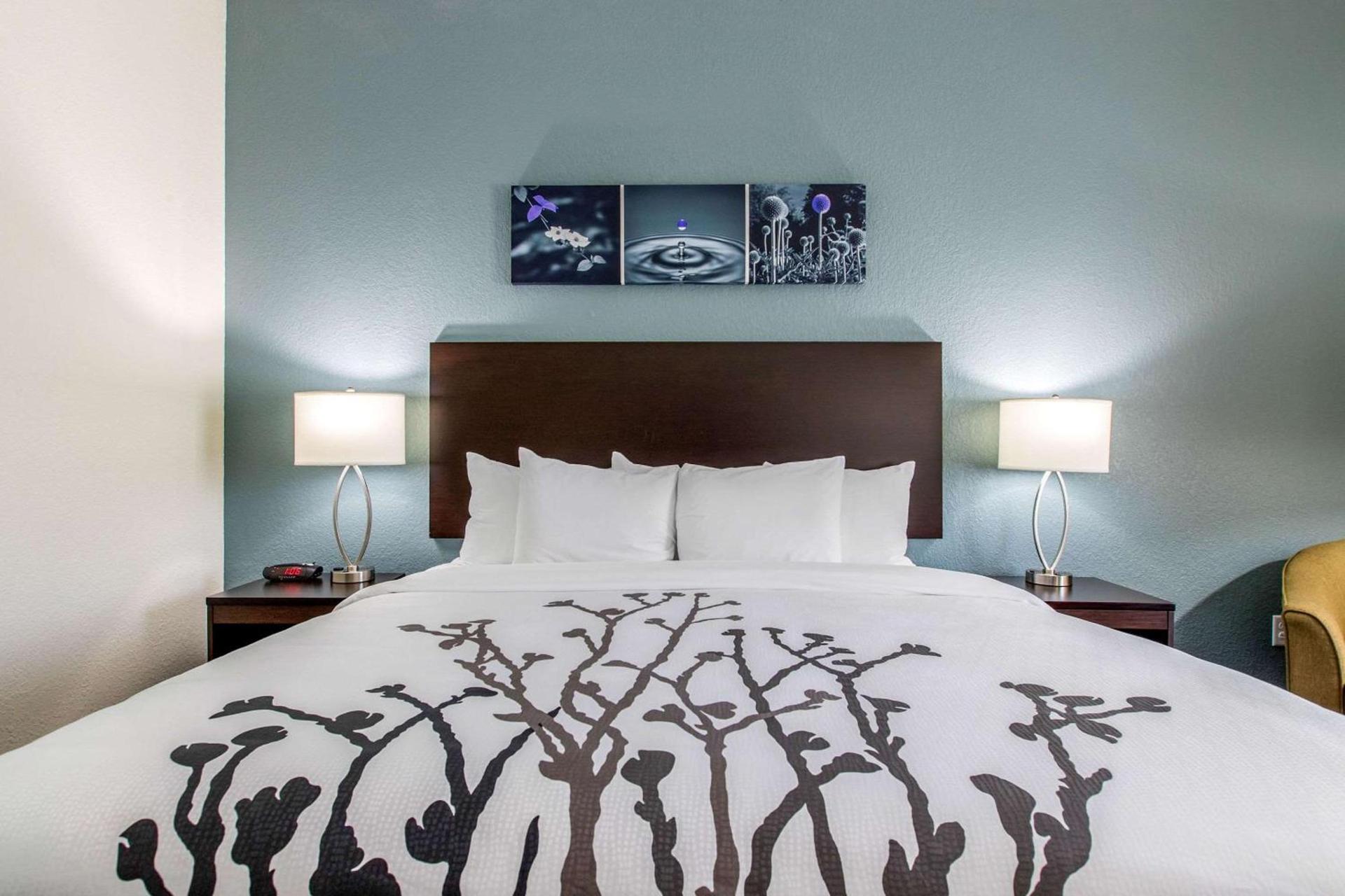 Sleep Inn and Suites - Ankeny photo 7