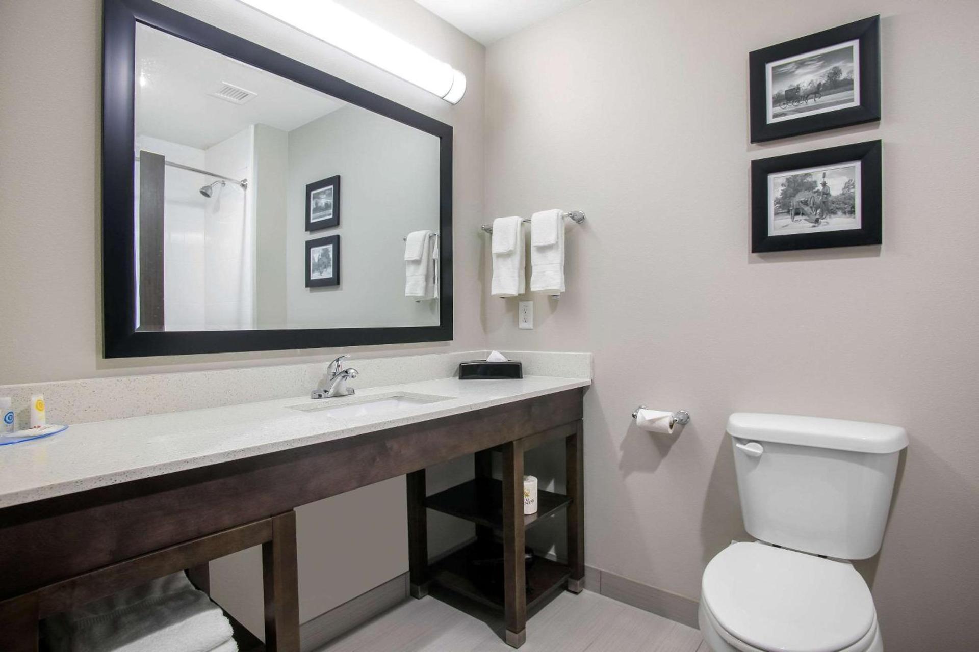 Holiday Inn Express & Suites Tulsa East - Catoosa by IHG photo 11