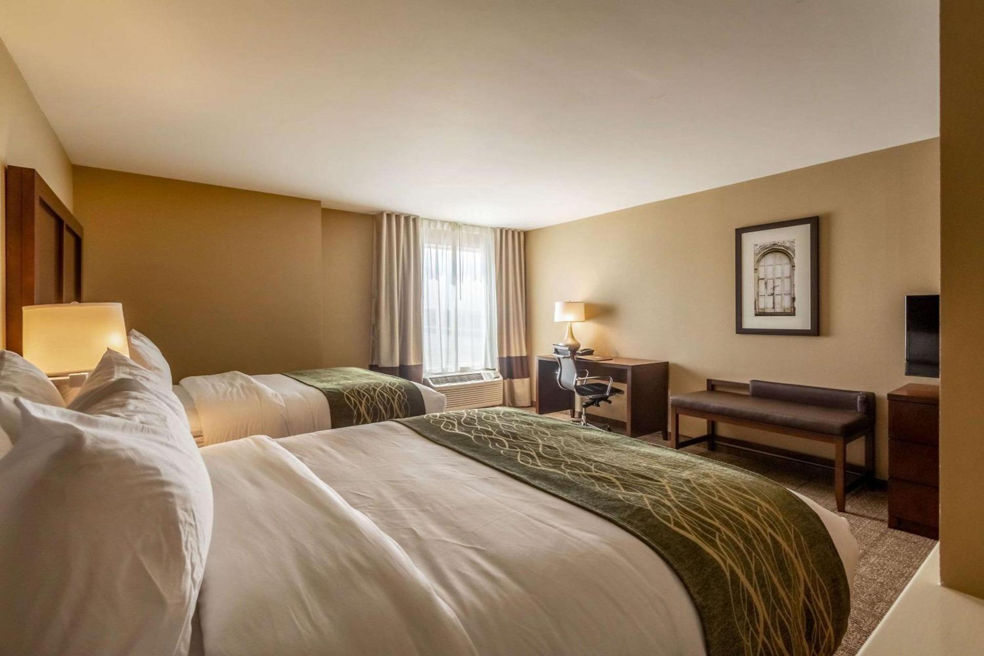 Comfort Inn & Suites - Harrisburg Airport - Hershey South photo 19
