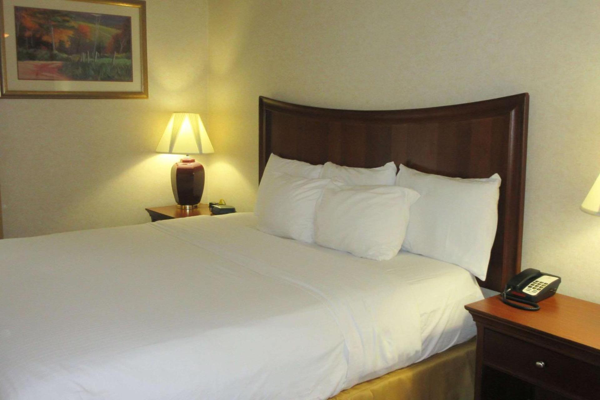 Quality Inn & Suites Owego photo 2