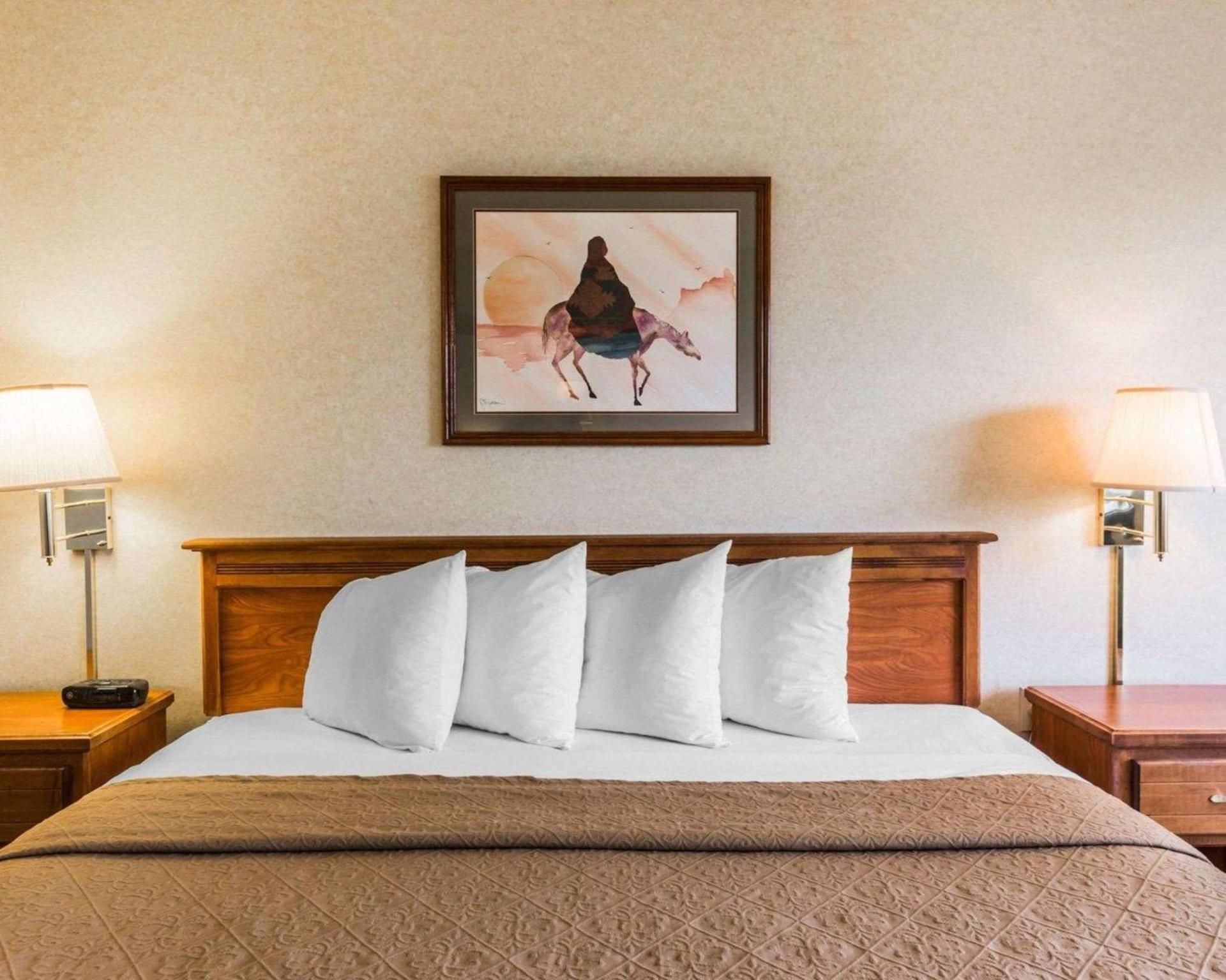 Quality Inn & Suites Montrose - Black Canyon Area photo 2