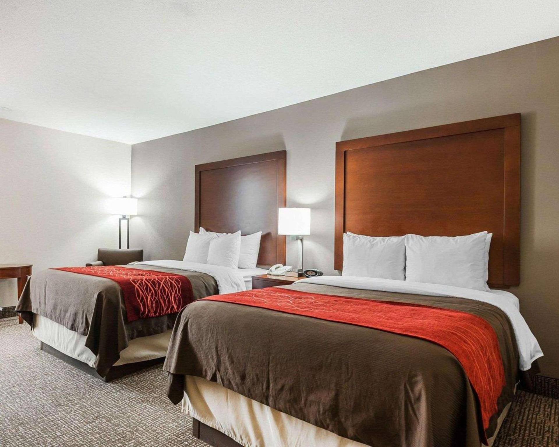 Spark by Hilton Denver East I 70 photo 6