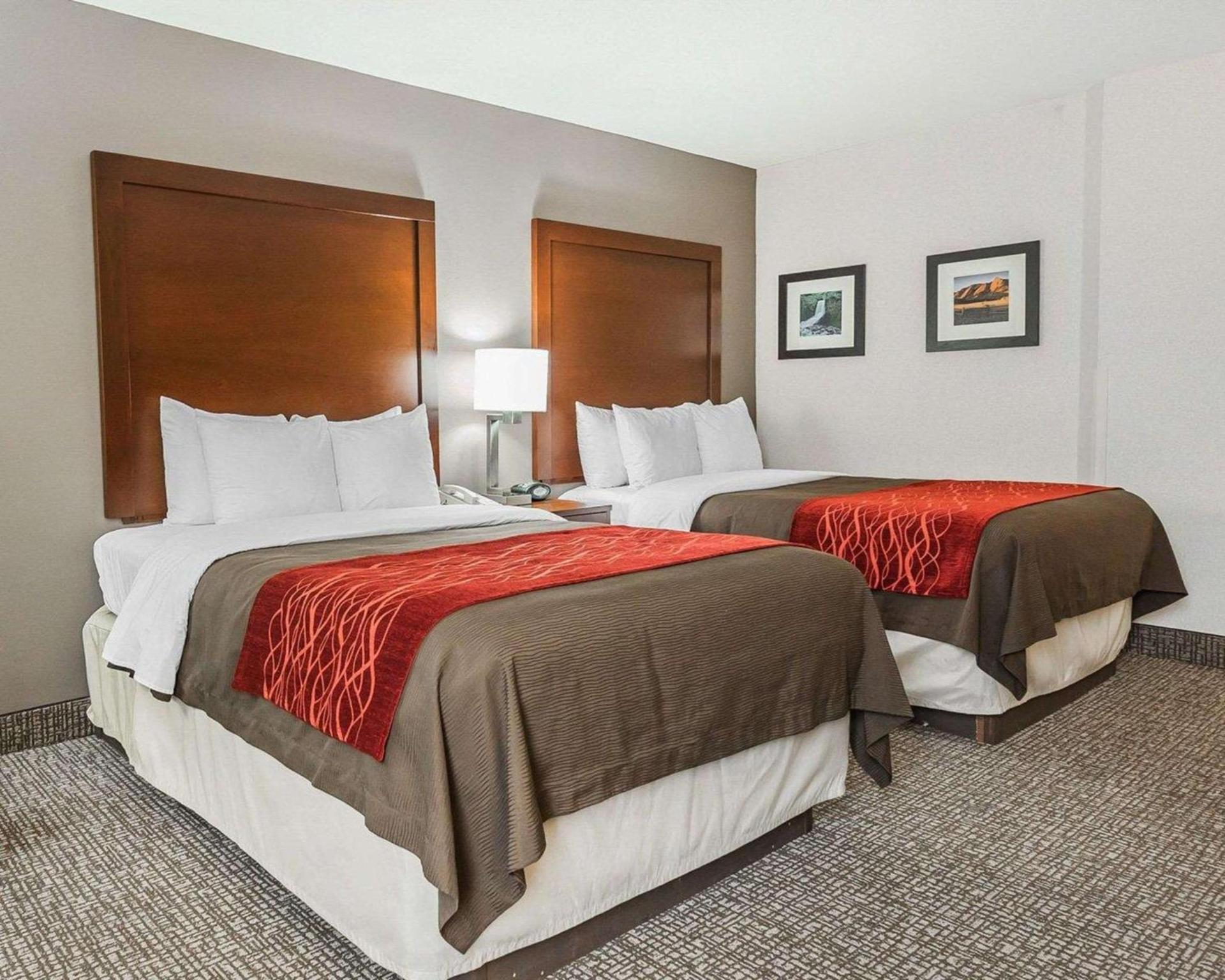 Spark by Hilton Denver East I 70 photo 34