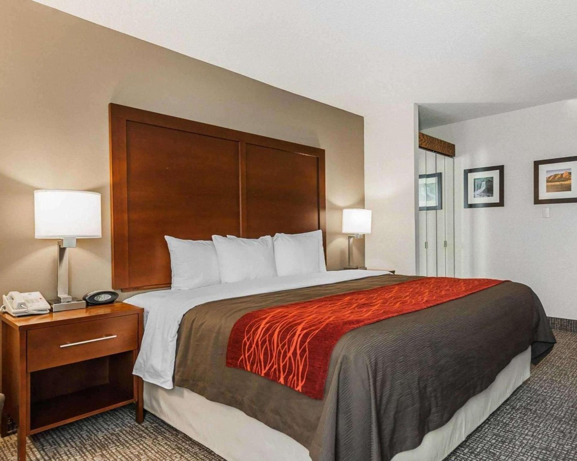 Spark by Hilton Denver East I 70 photo 14