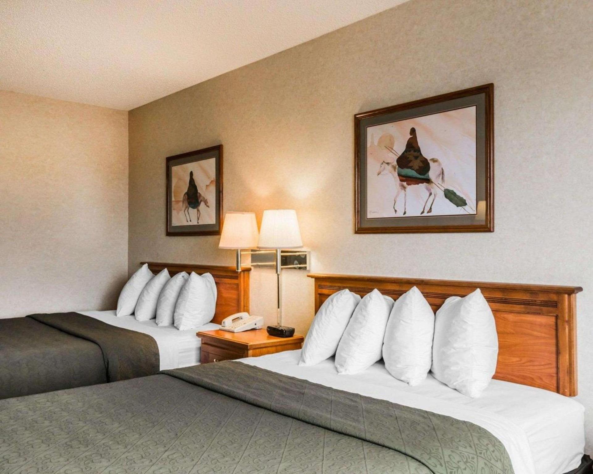 Quality Inn & Suites Montrose - Black Canyon Area photo 33