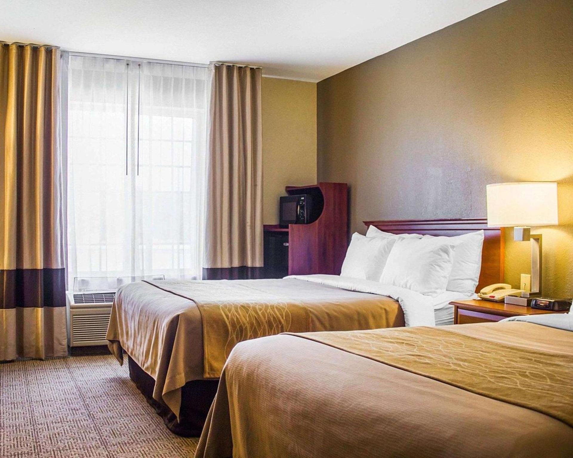 Spark by Hilton Guilford photo 4