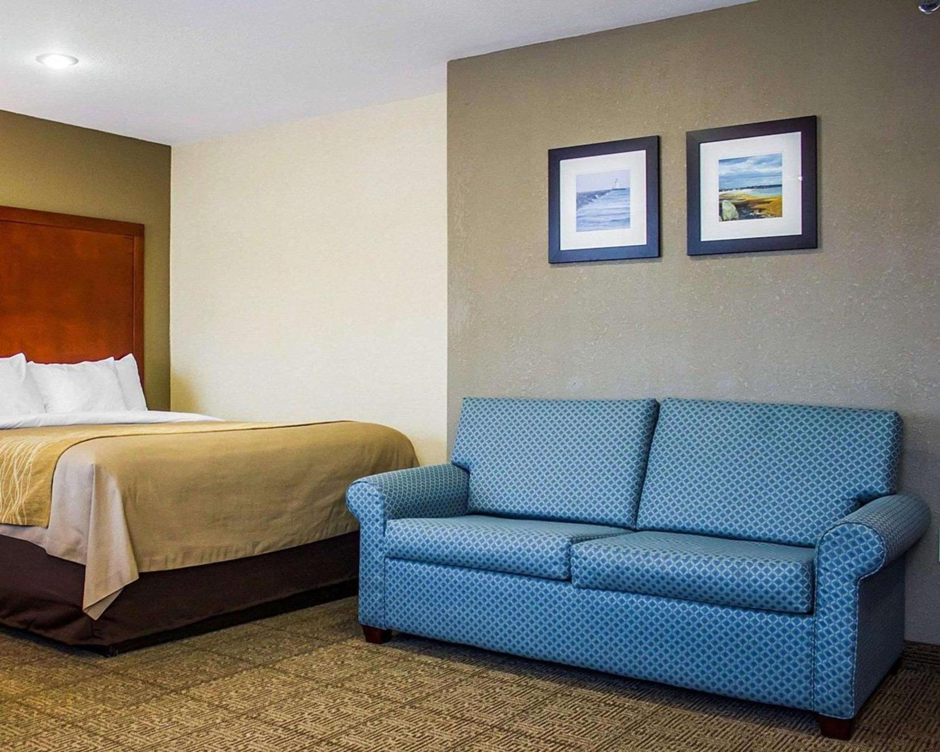 Spark by Hilton Guilford photo 8