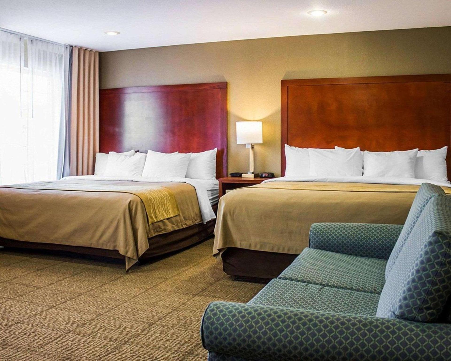 Spark by Hilton Guilford photo 9