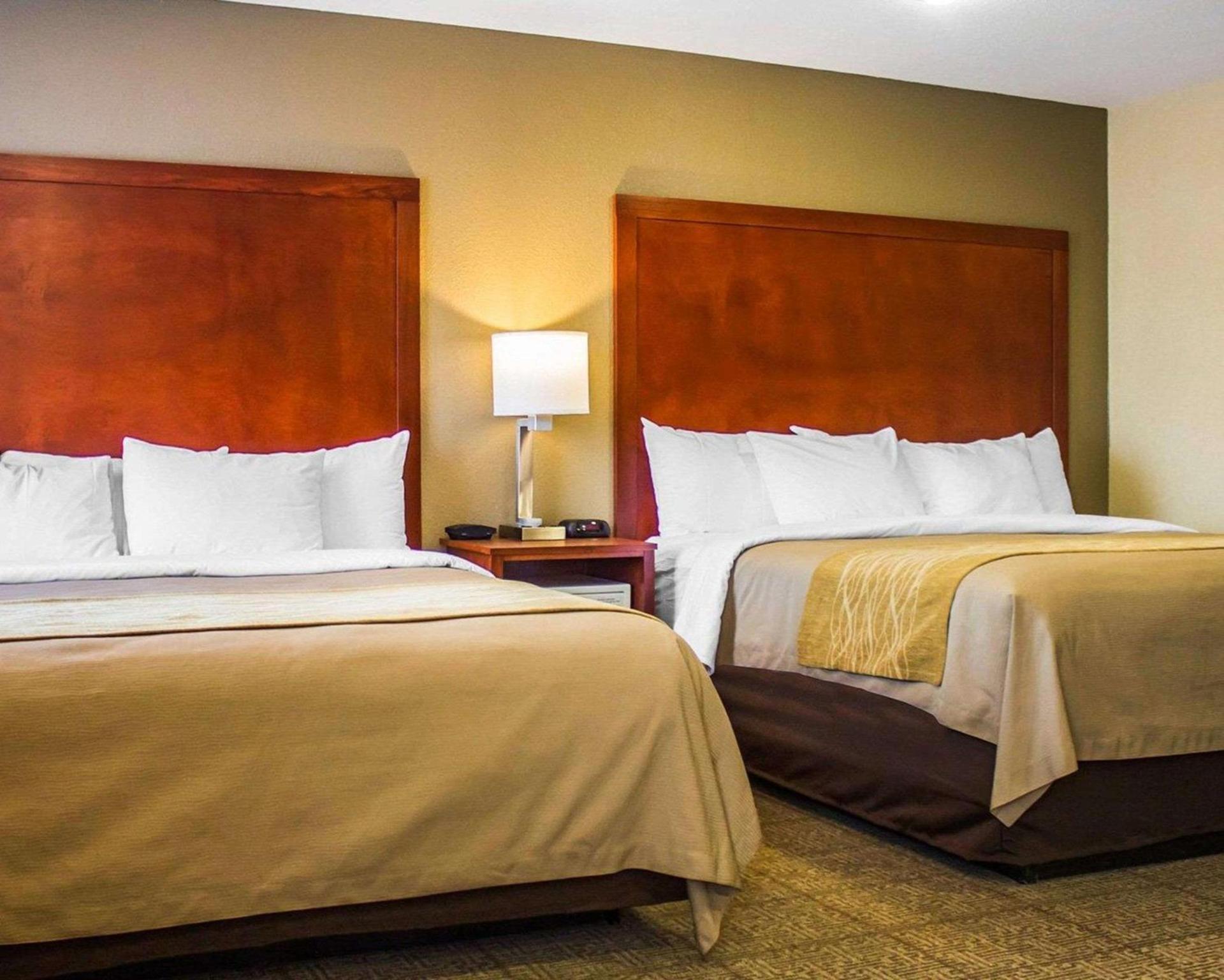 Spark by Hilton Guilford photo 10