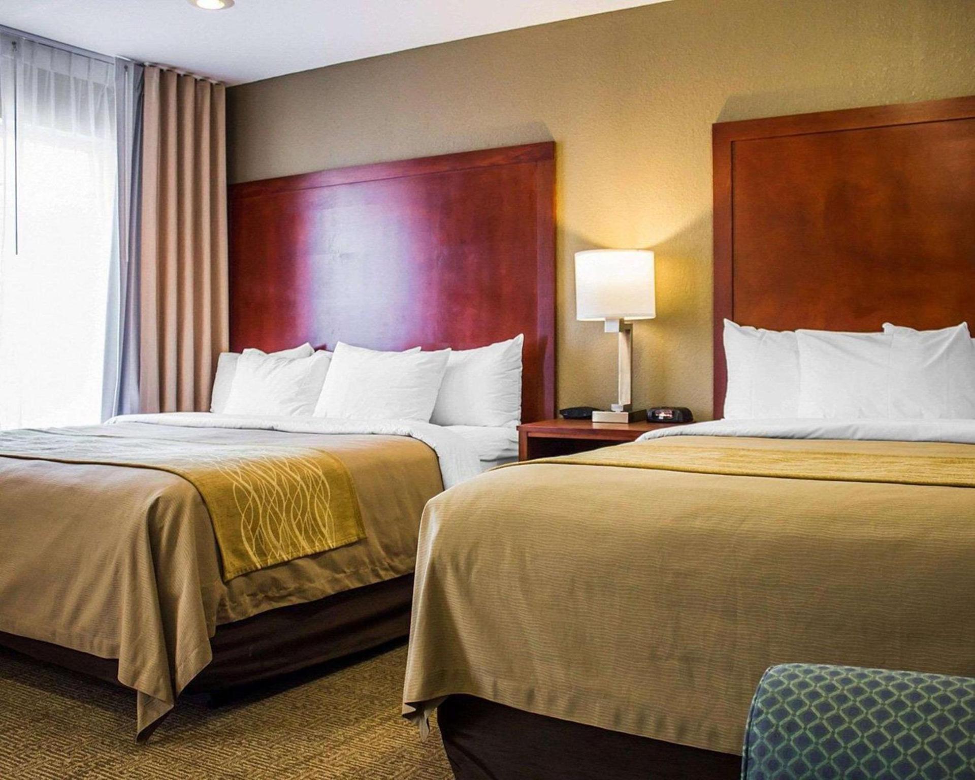 Spark by Hilton Guilford photo 15
